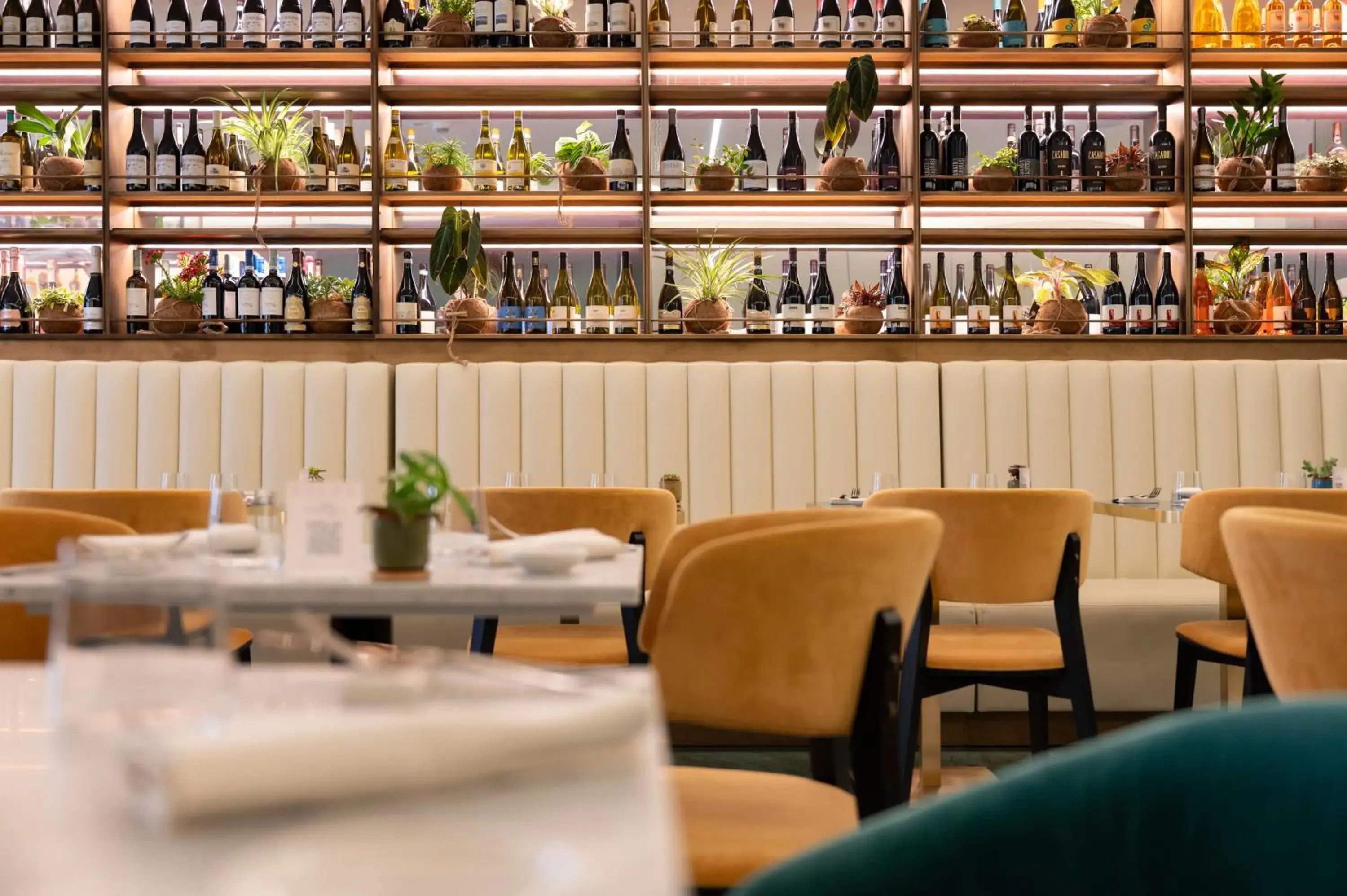 Restaurant/places to eat in Je Rome Hotel Restaurant/places to eat in Je Rome Hotel