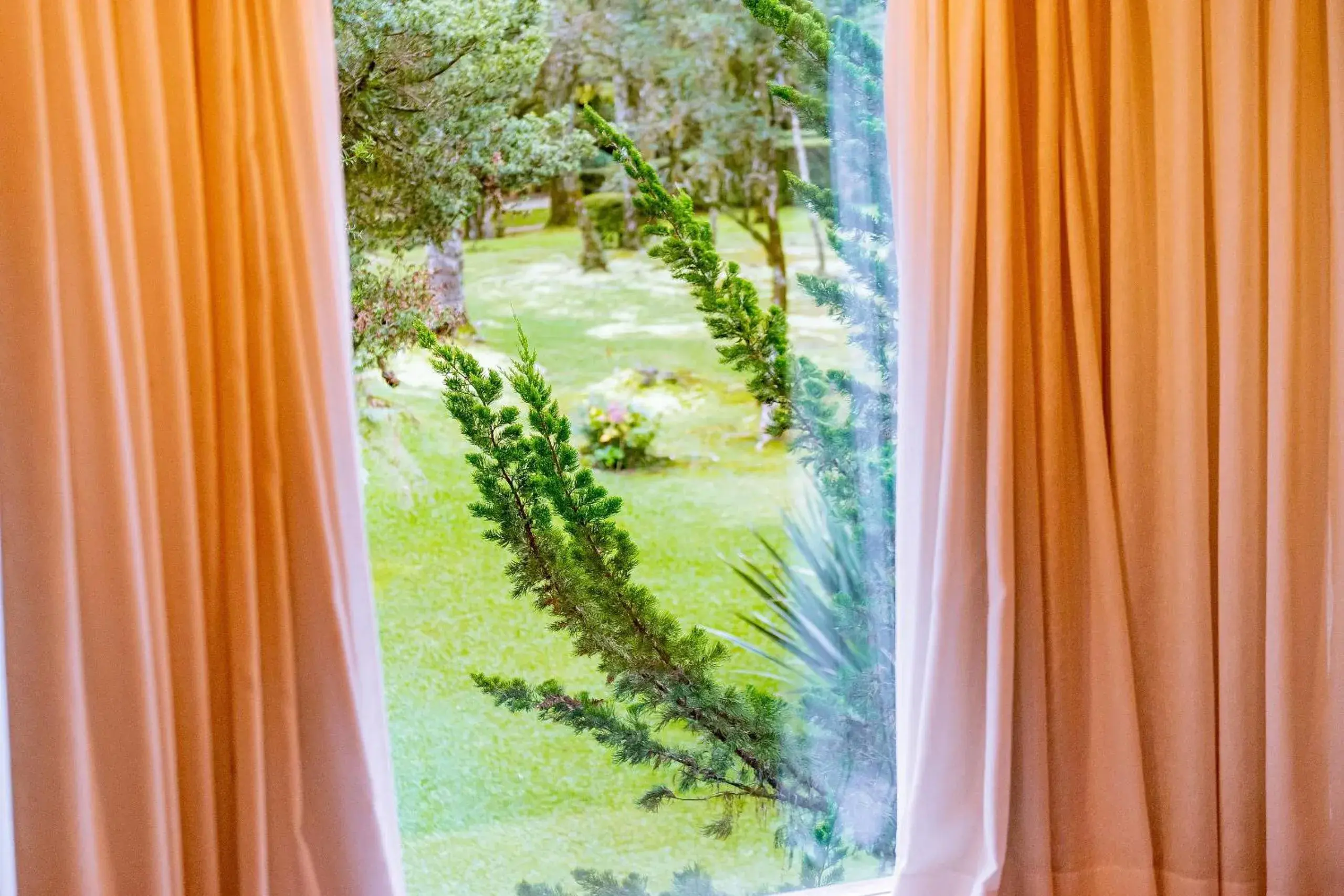 View (from property/room) in Suíte Laje de Pedra Mountain Village View (from property/room) in Suíte Laje de Pedra Mountain Village