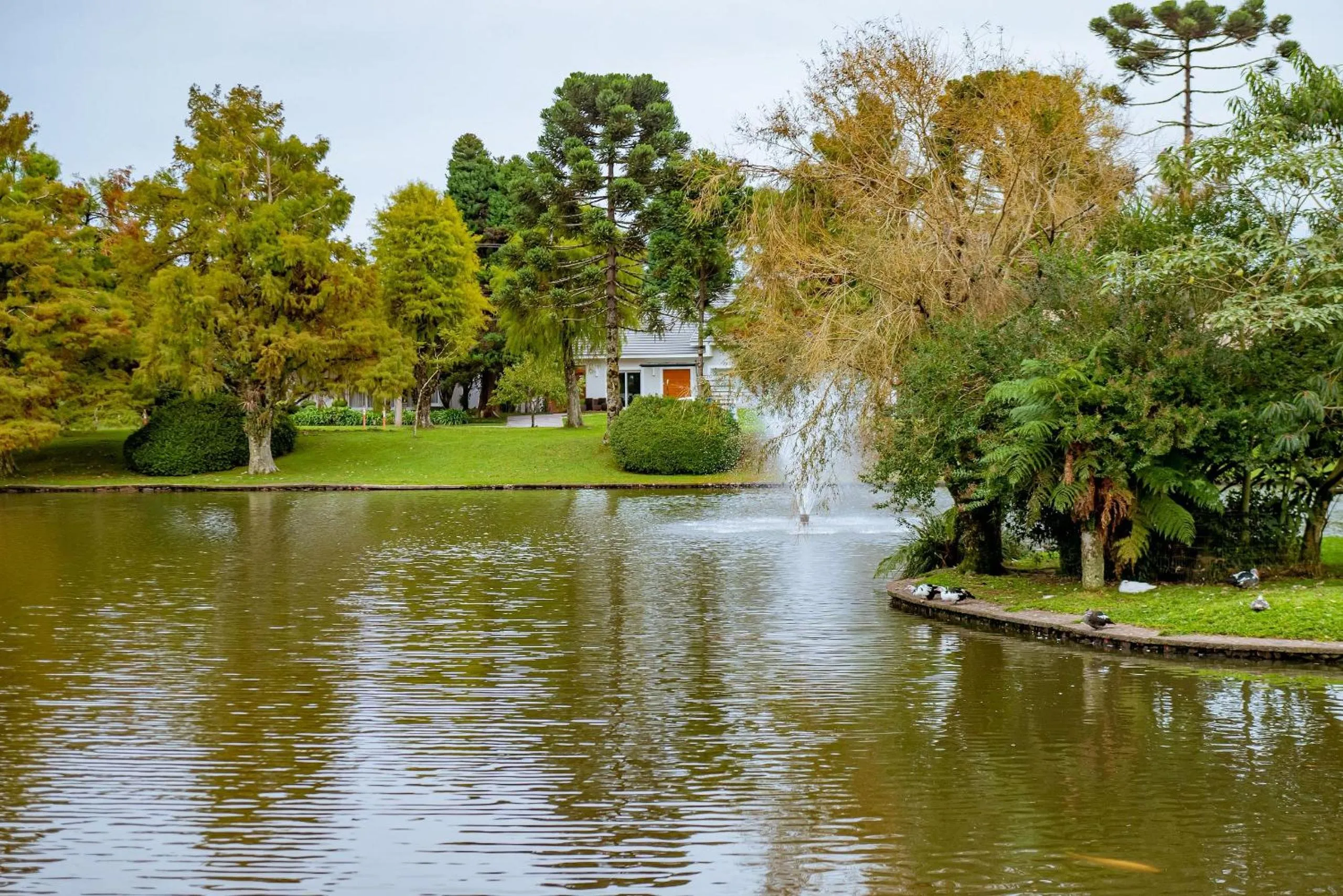 Lake view in Suíte Laje de Pedra Mountain Village