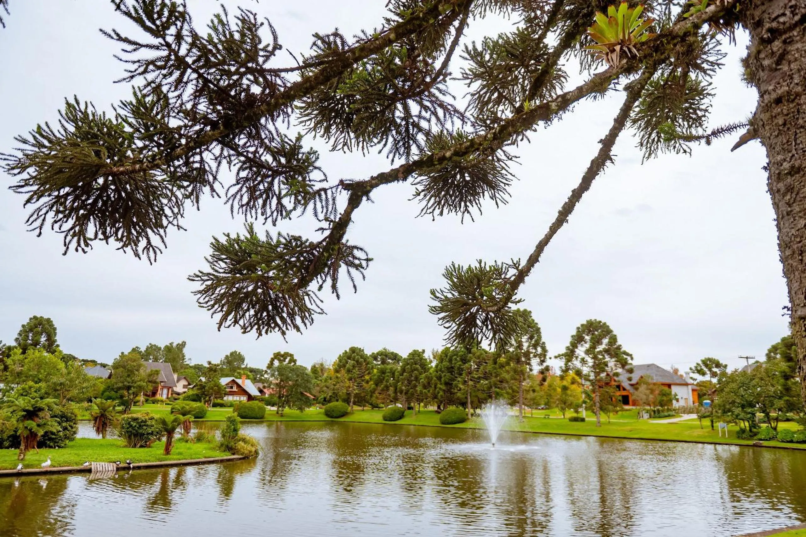 Lake view in Suíte Laje de Pedra Mountain Village