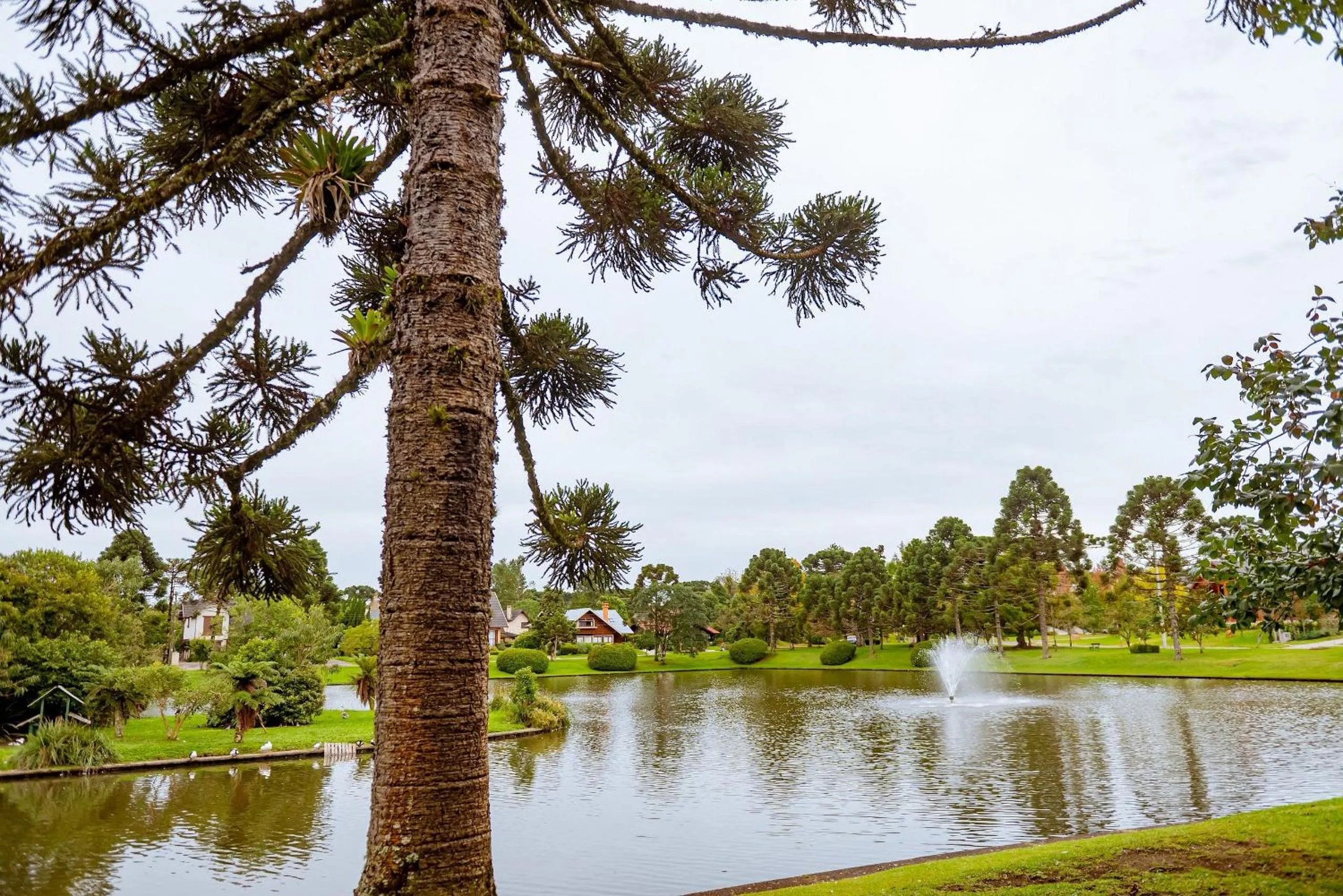 Lake view in Suíte Laje de Pedra Mountain Village