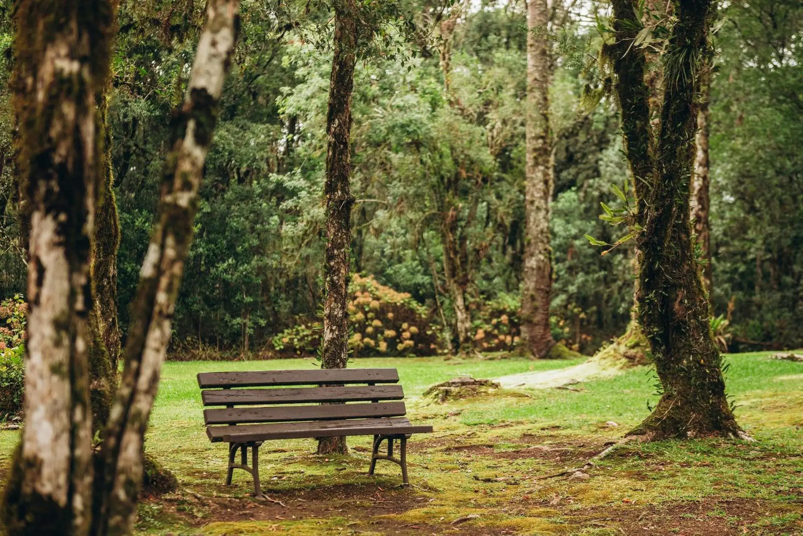 Garden view in Suíte Laje de Pedra Mountain Village Garden view in Suíte Laje de Pedra Mountain Village