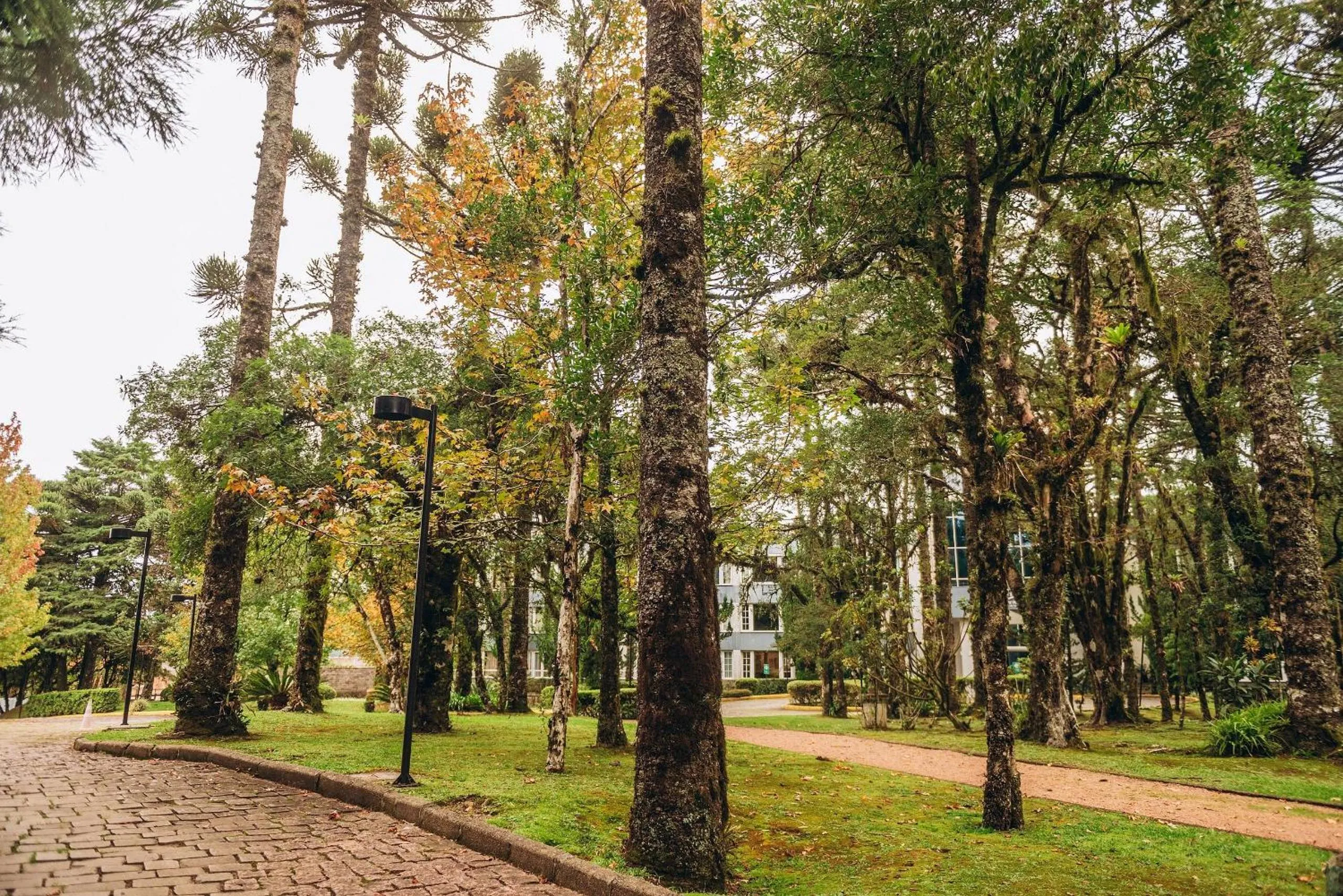 Lake view in Suíte Laje de Pedra Mountain Village