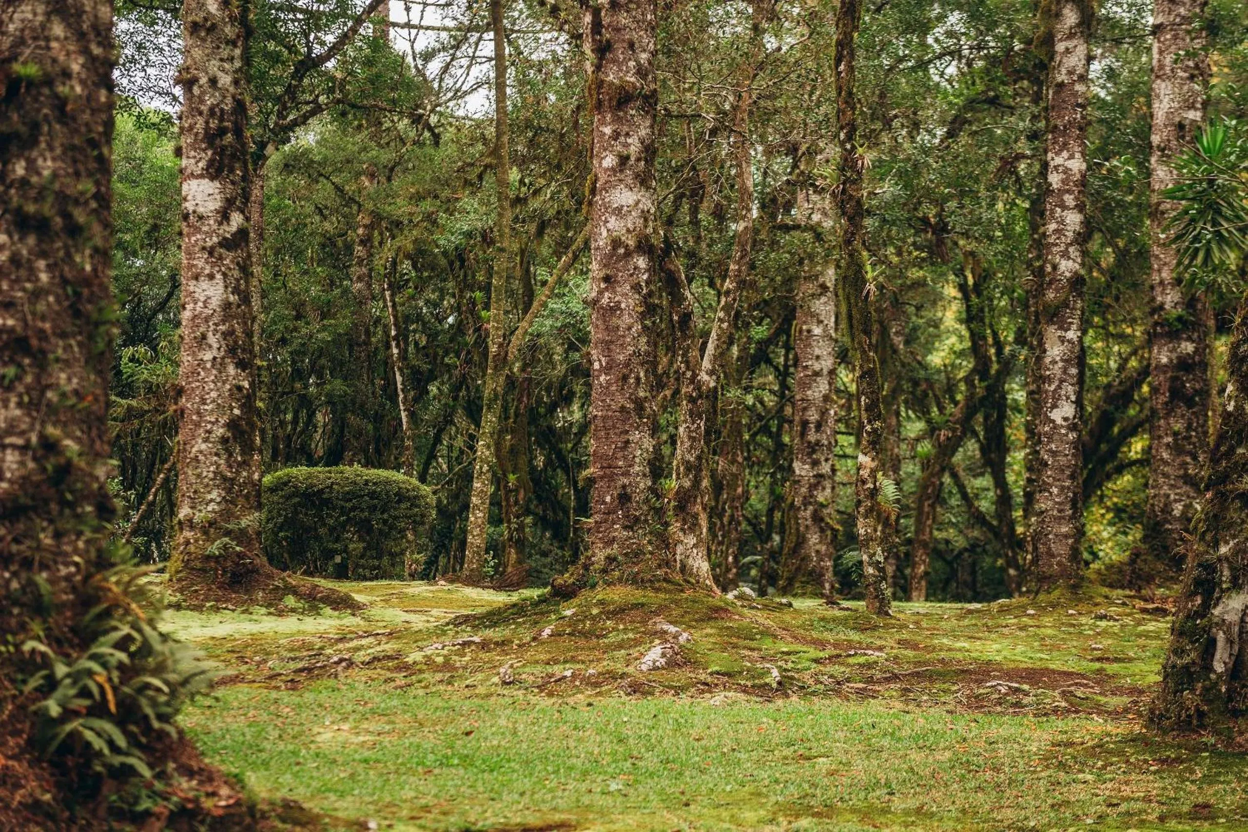 Street view in Suíte Laje de Pedra Mountain Village
