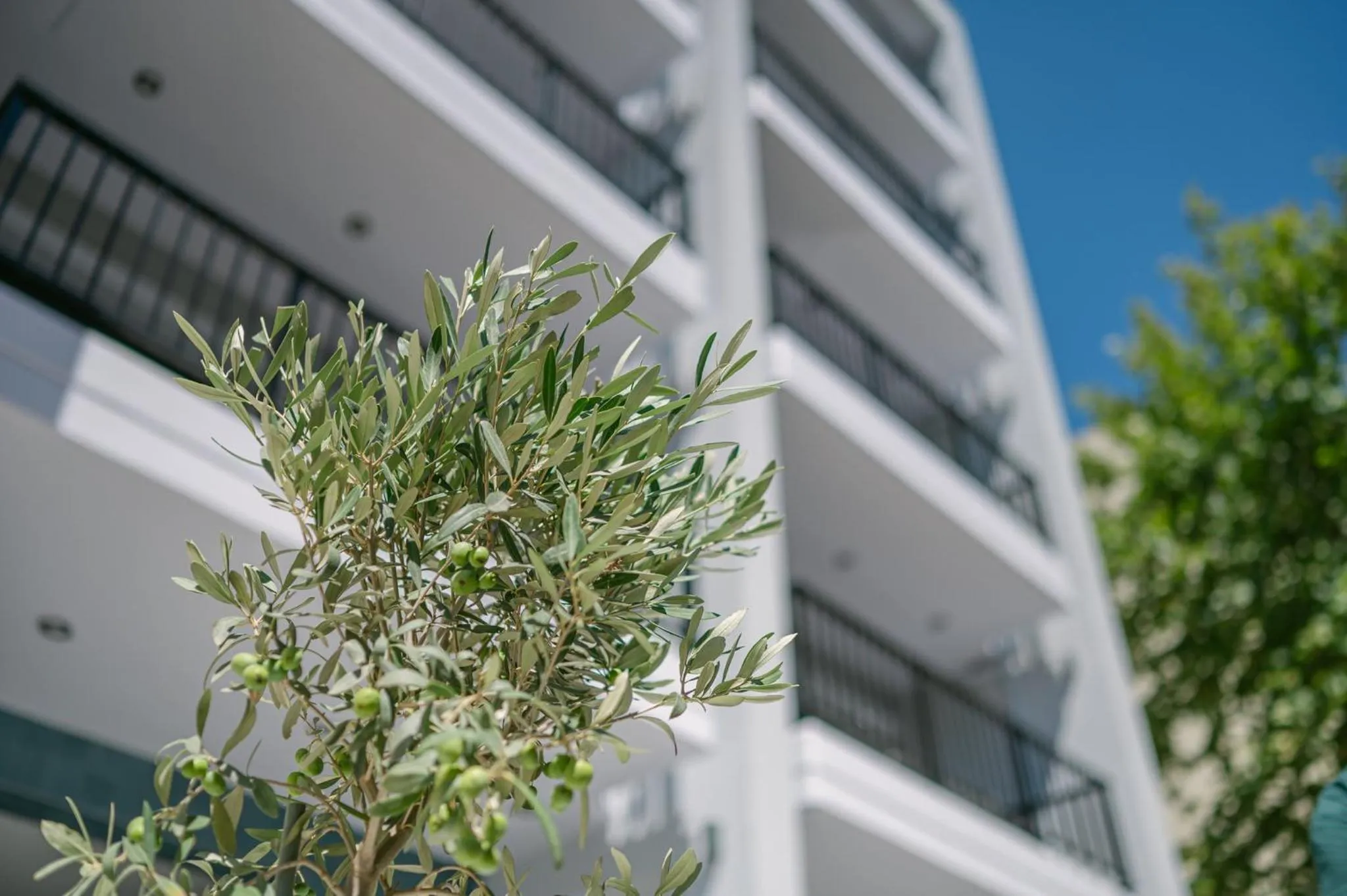 Facade/entrance in Oktolia suites