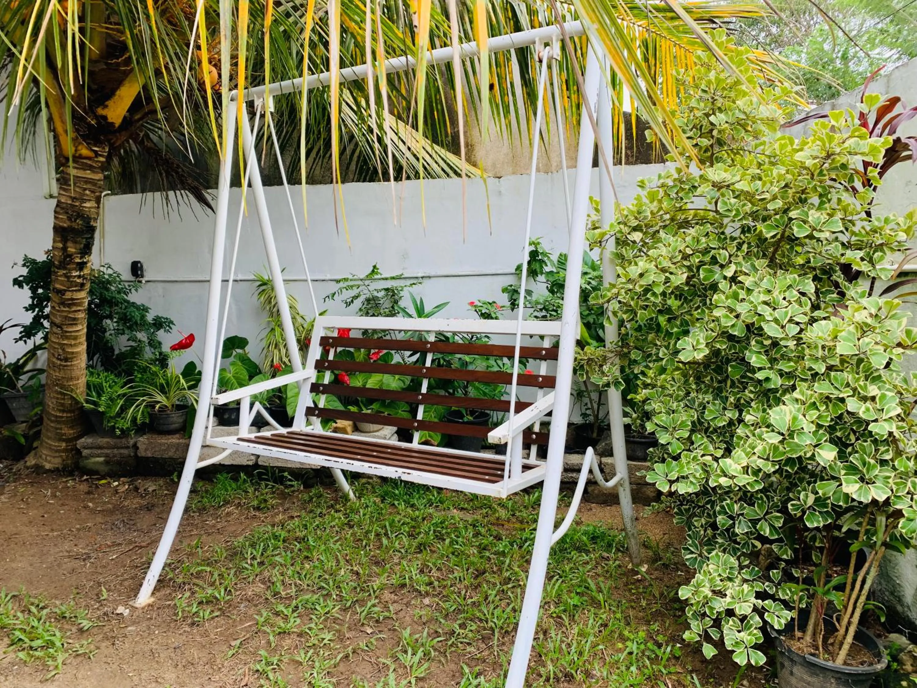 Garden view in Calidan