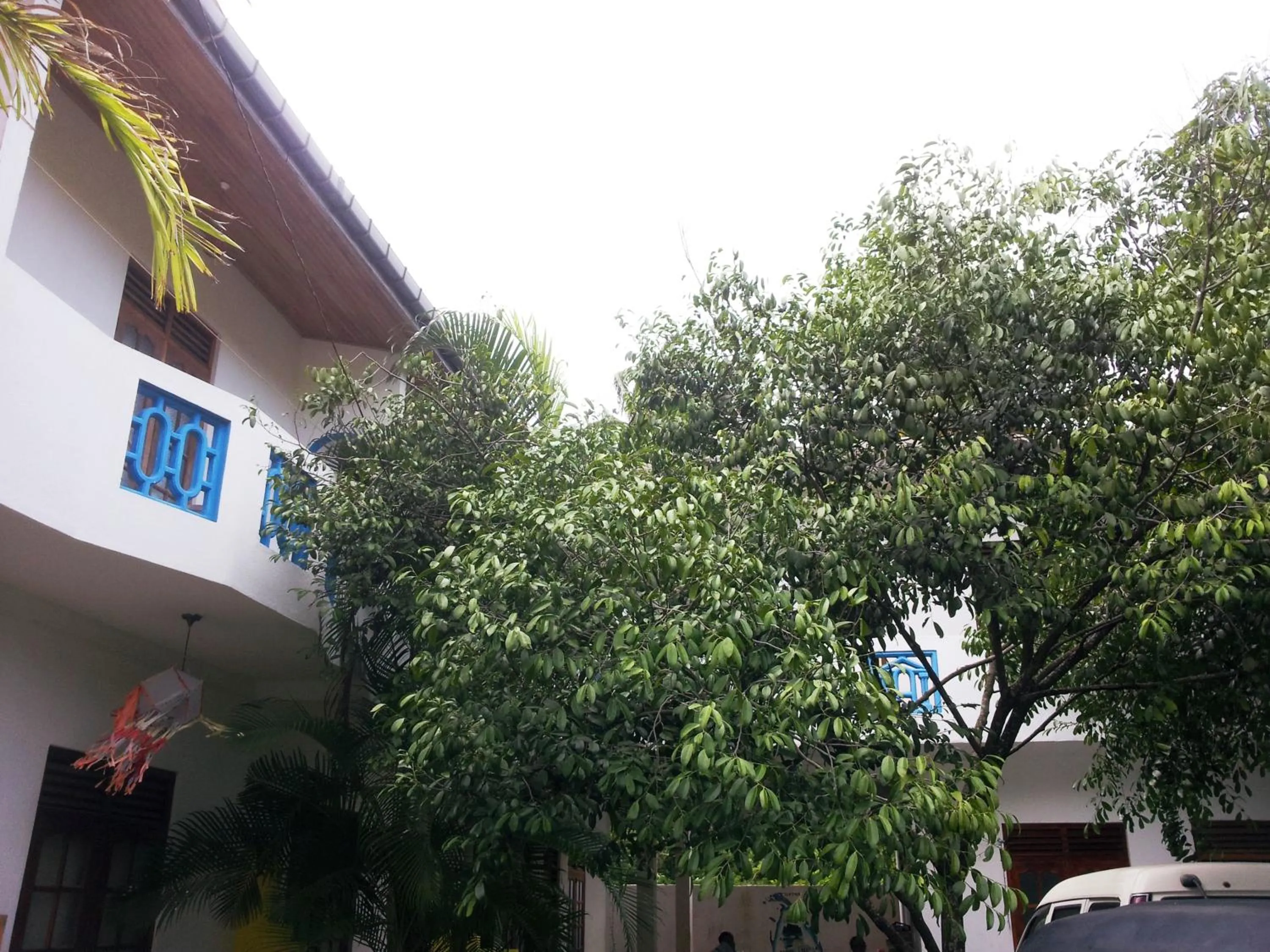 Garden view in Calidan