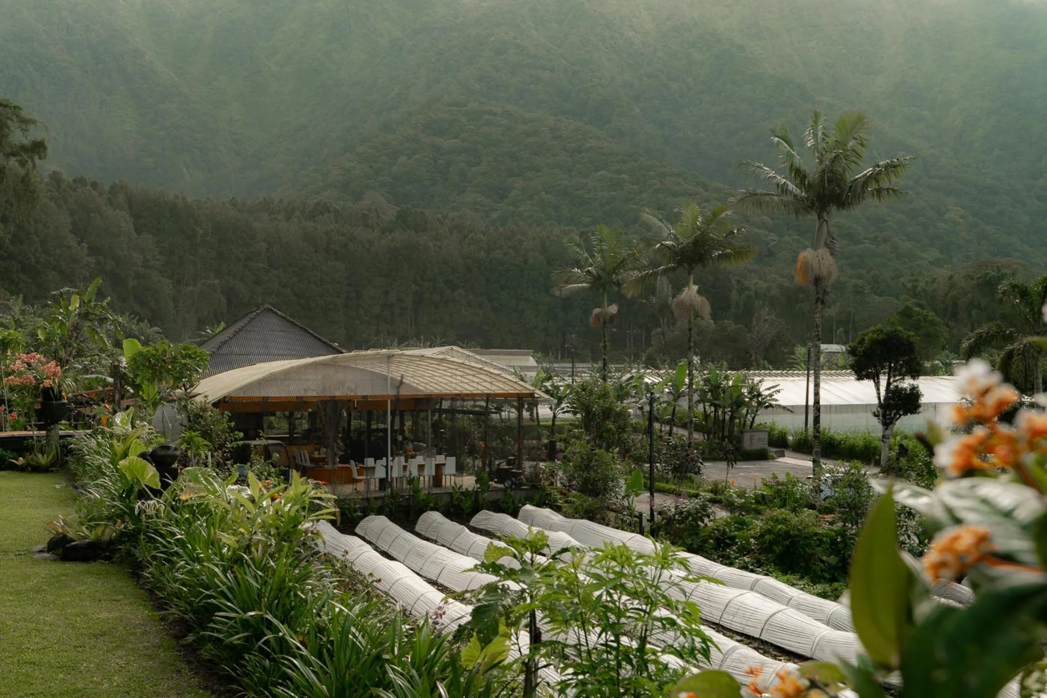 Property building in Pondanu Living