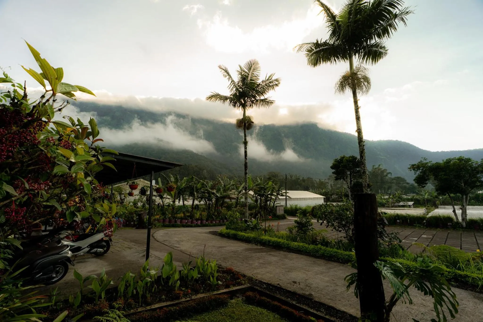 Property building in Pondanu Living