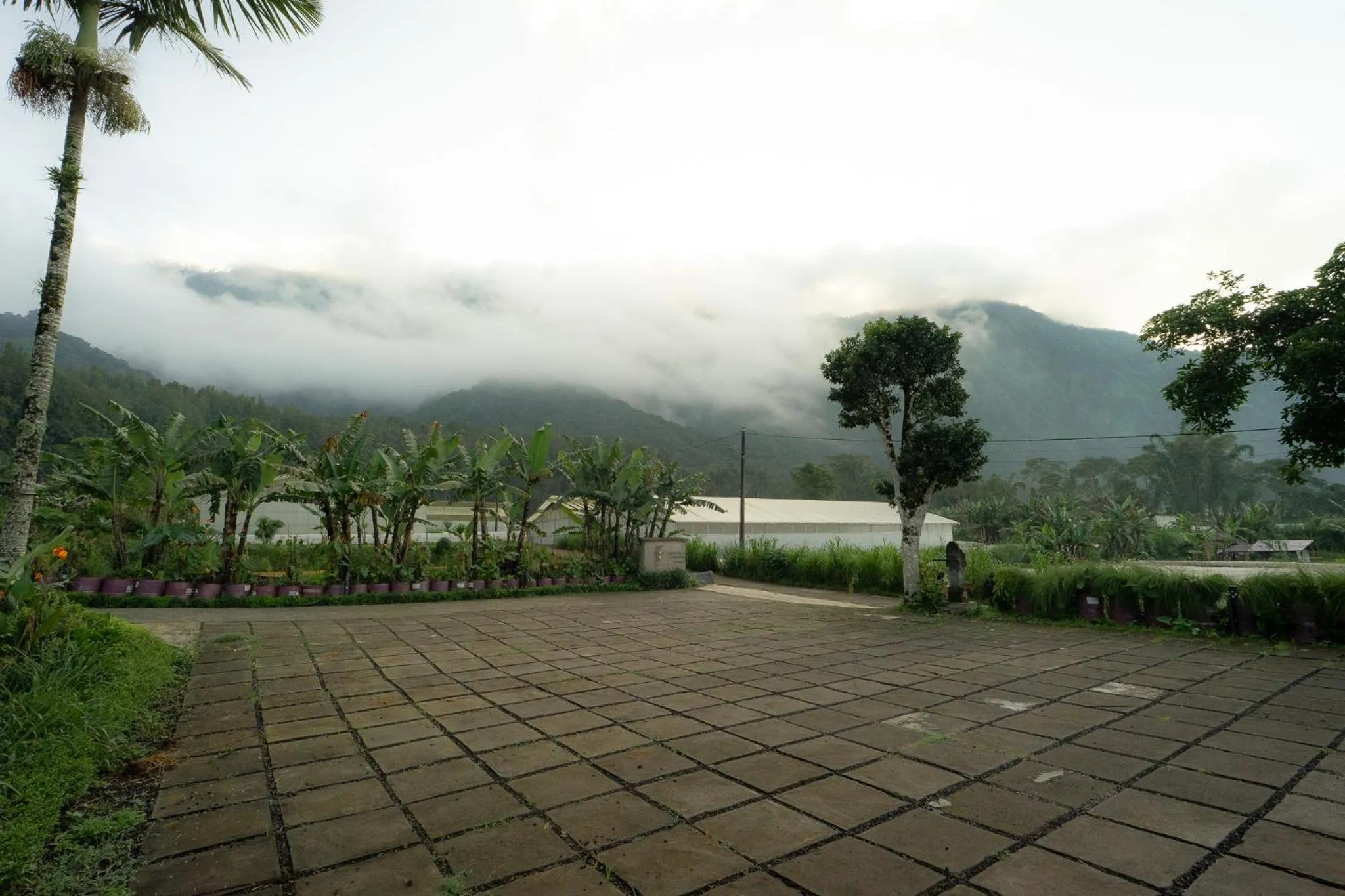 Property building in Pondanu Living