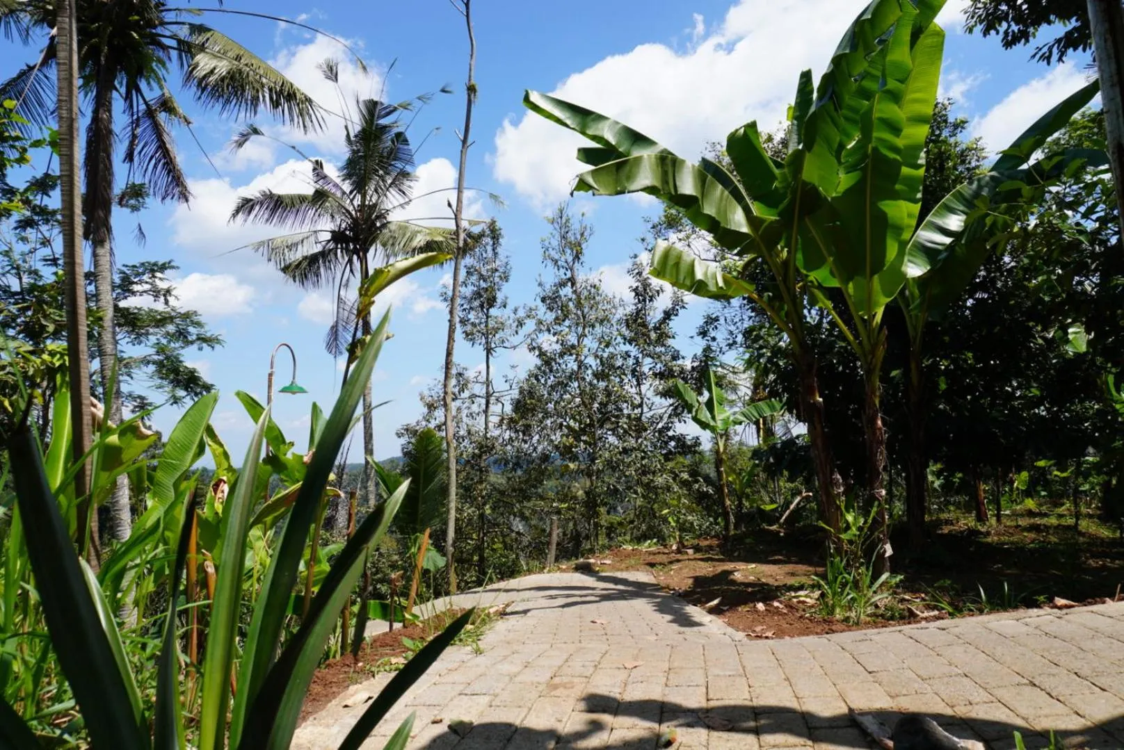 Facade/entrance in Purwa Ijen