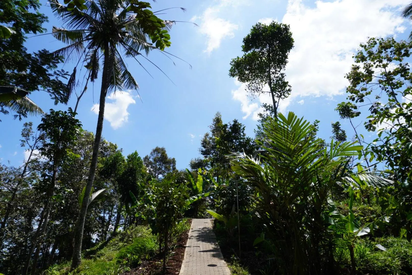 Facade/entrance in Purwa Ijen