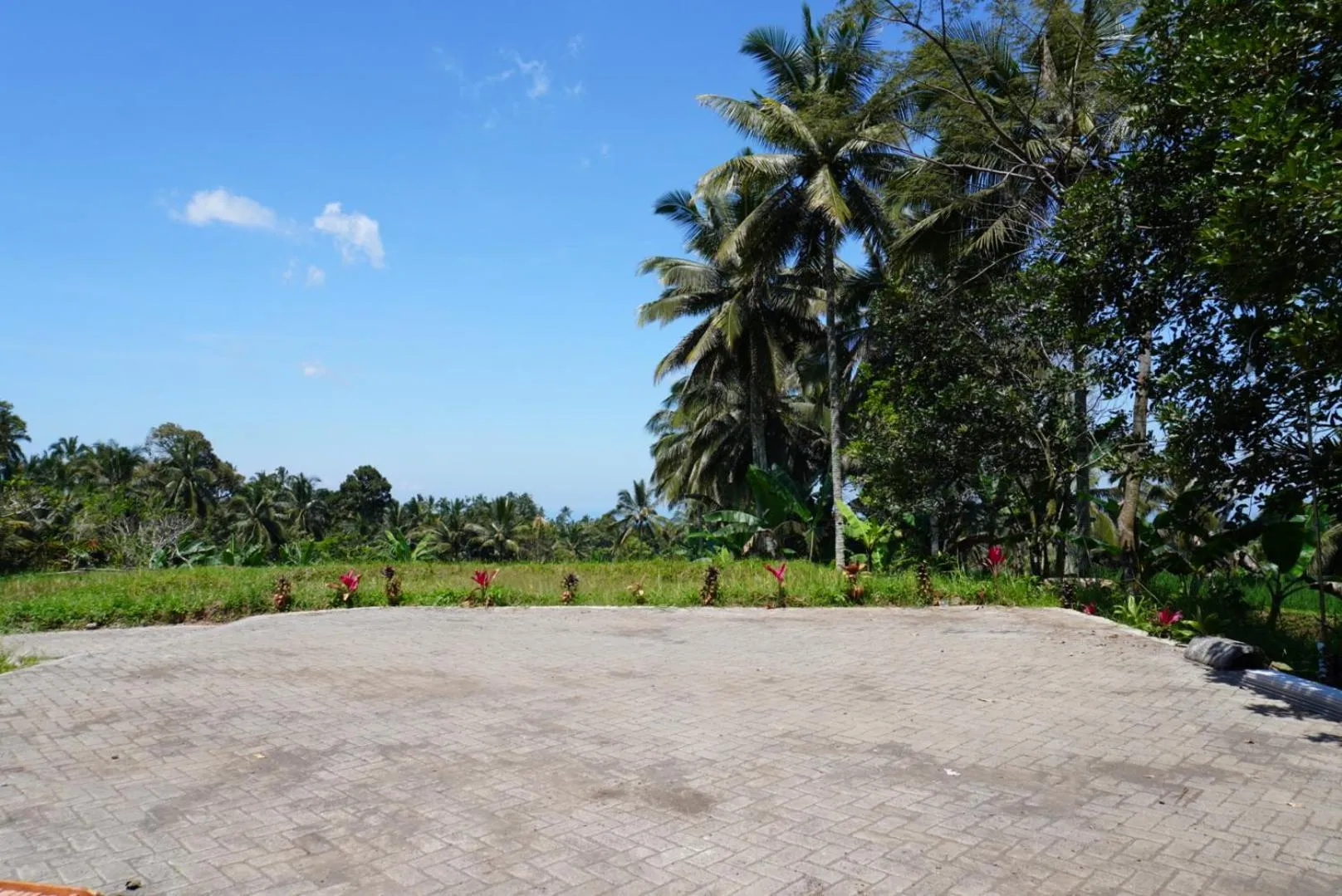 Natural landscape in Purwa Ijen