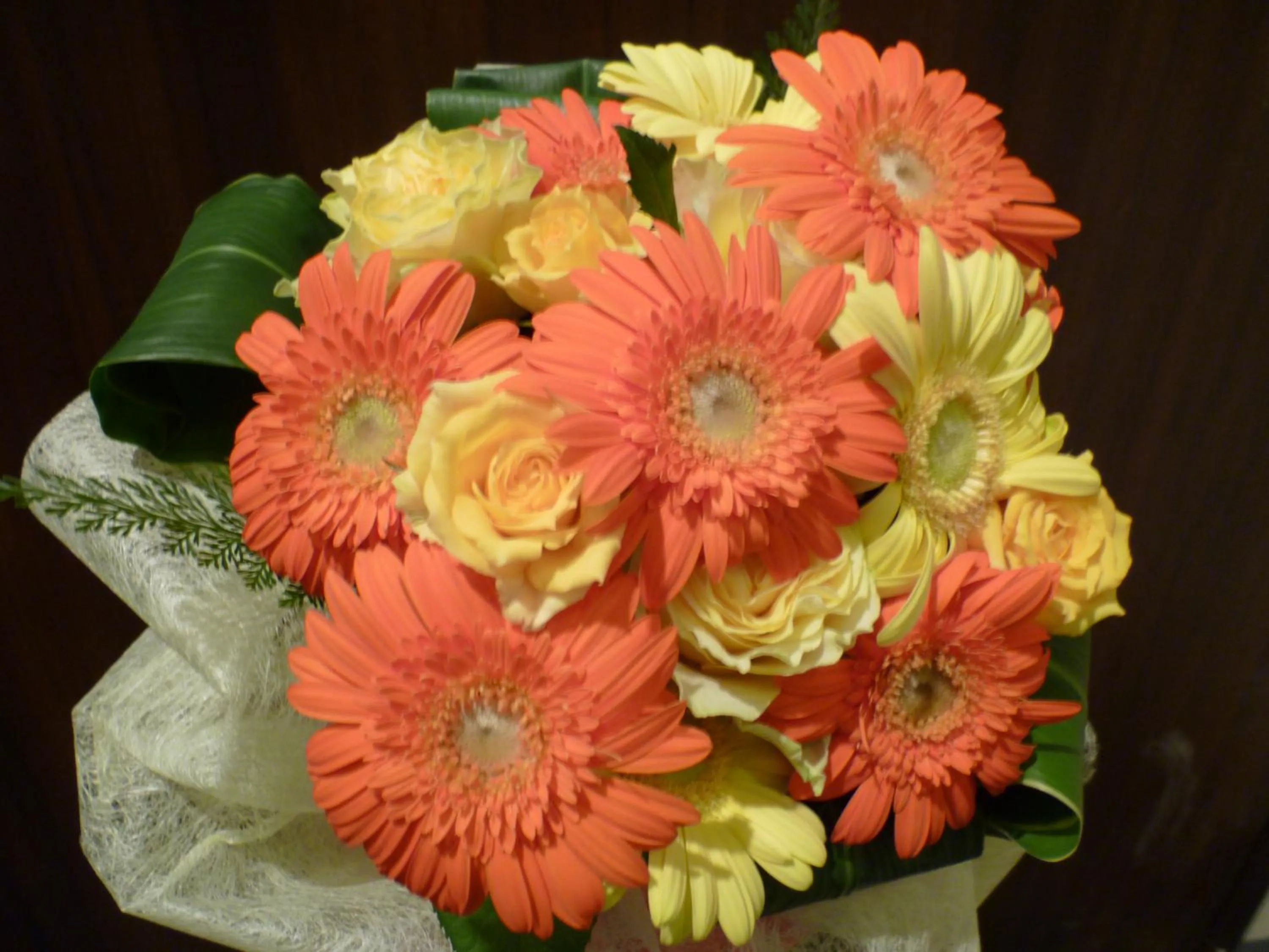 Lagunasuite Shinyokohama