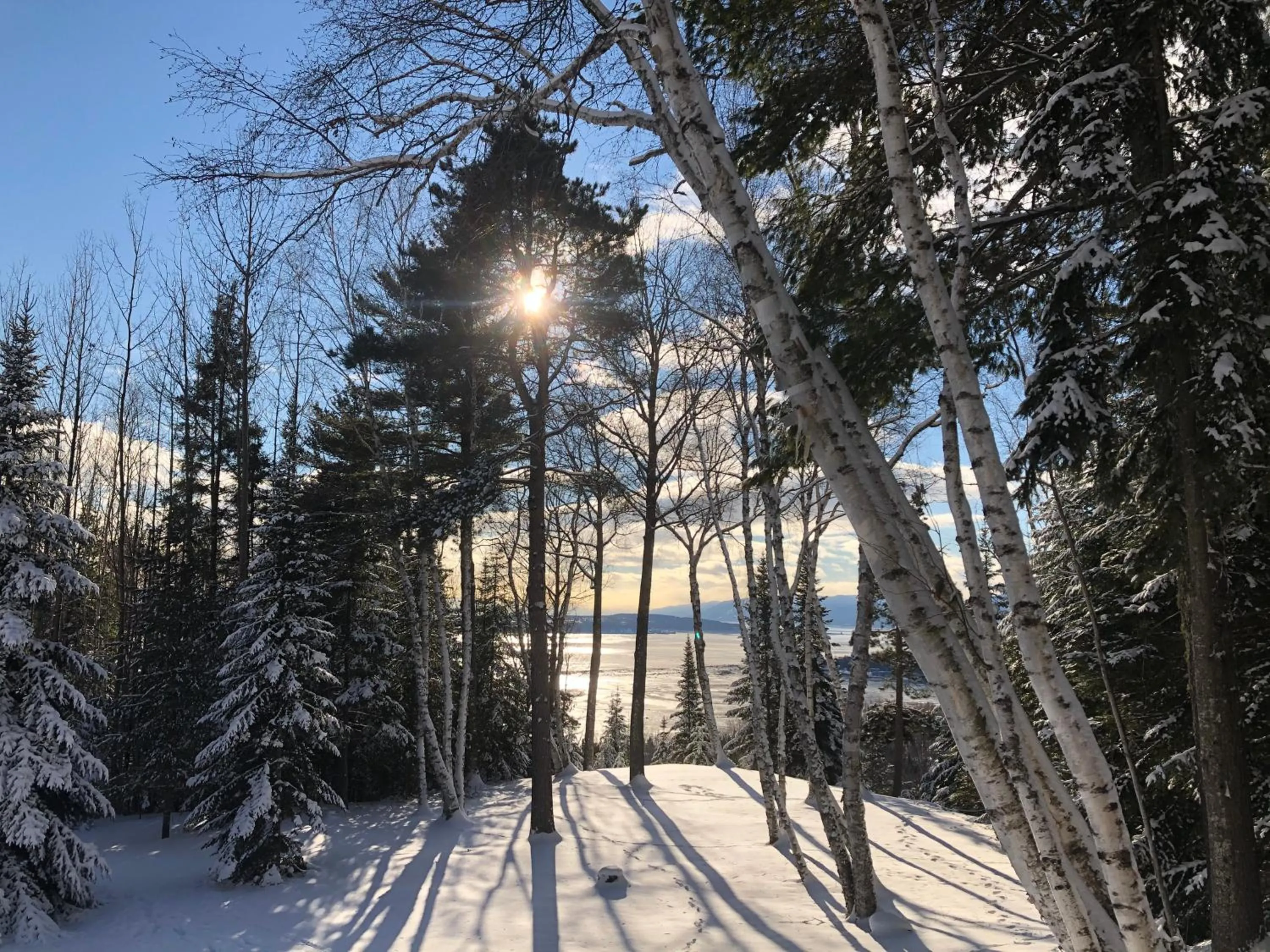 Natural landscape in Chalet Sous Les Pins