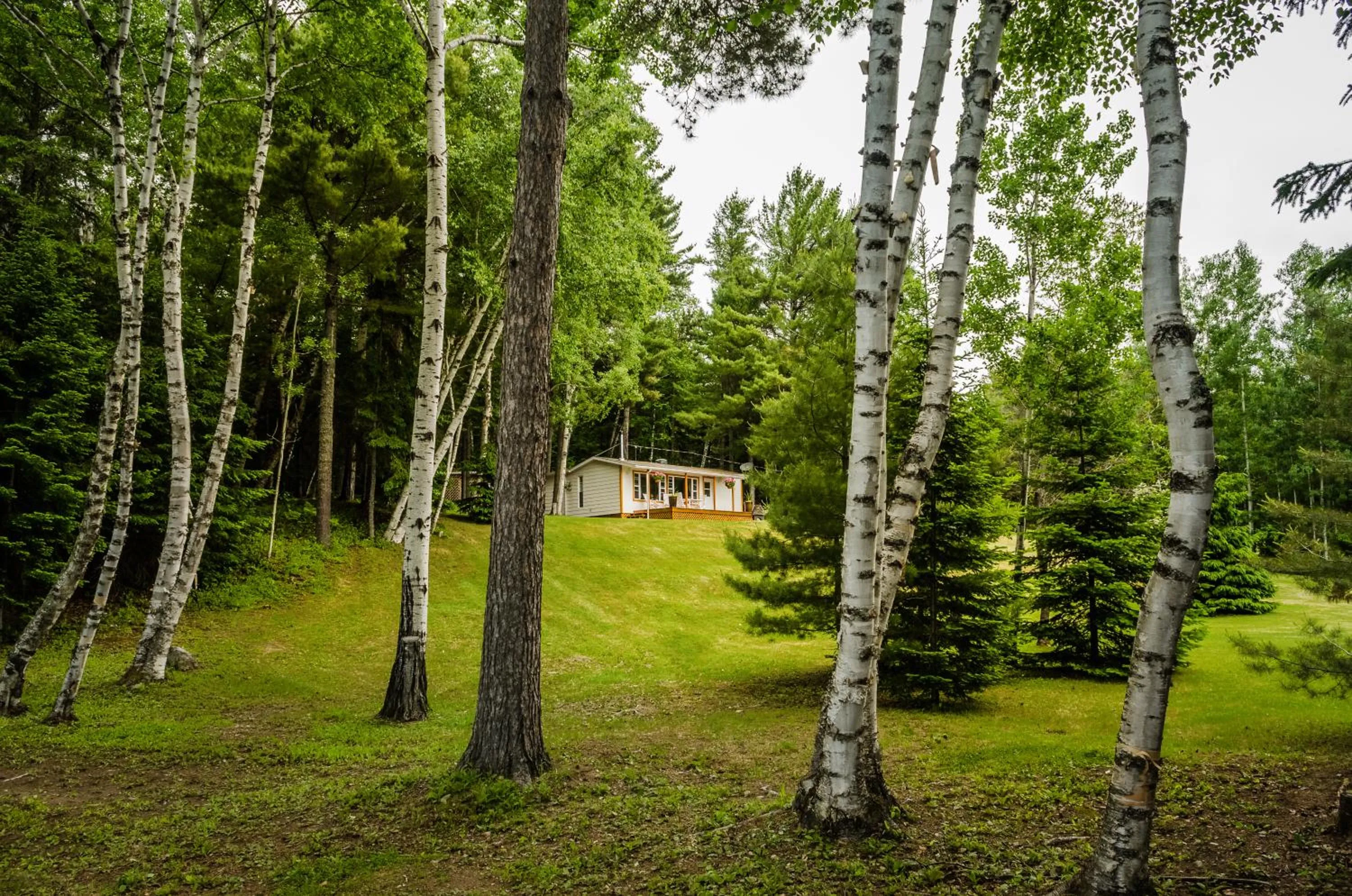 Garden in Chalet Sous Les Pins