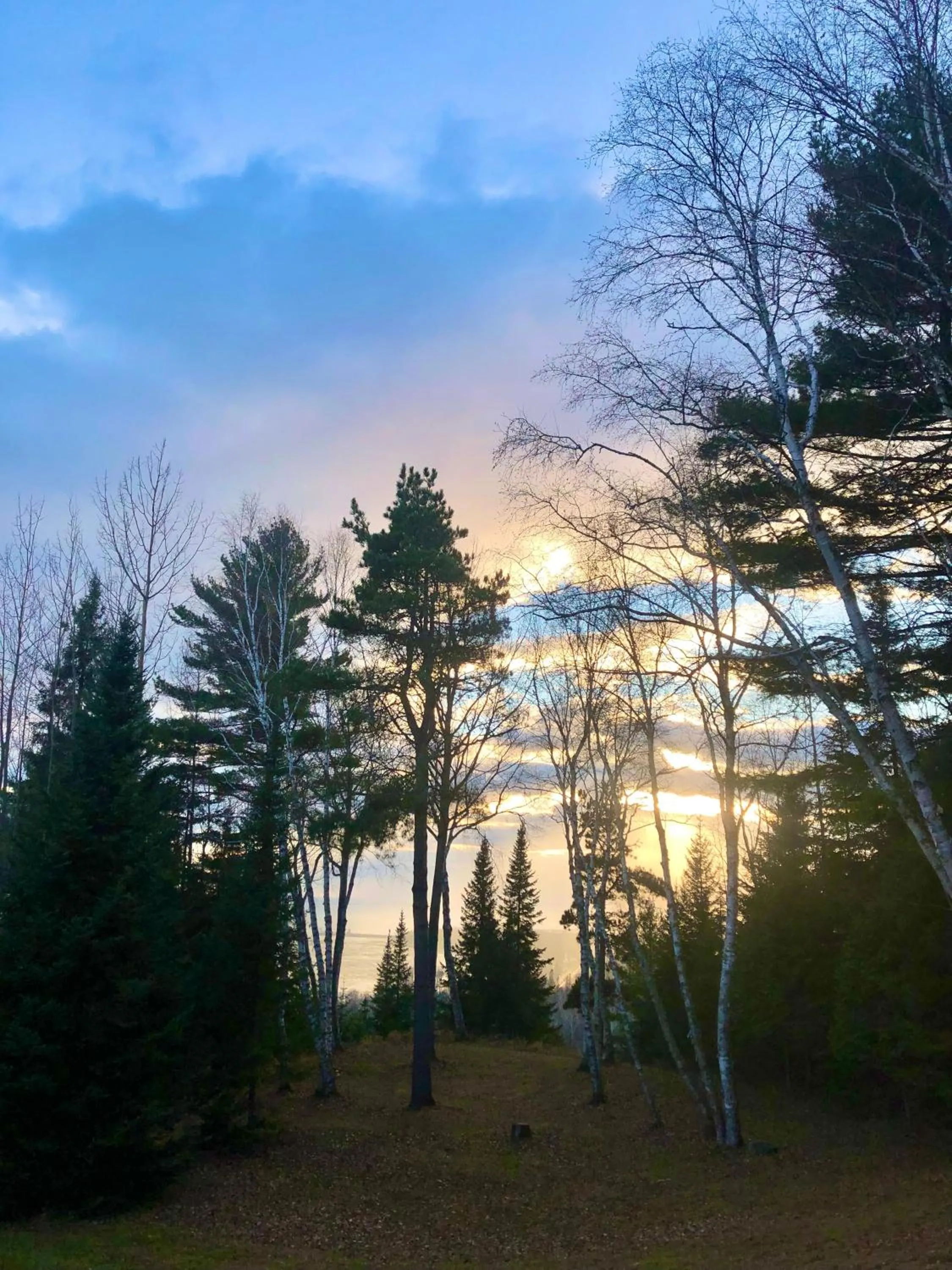 Natural landscape in Chalet Sous Les Pins