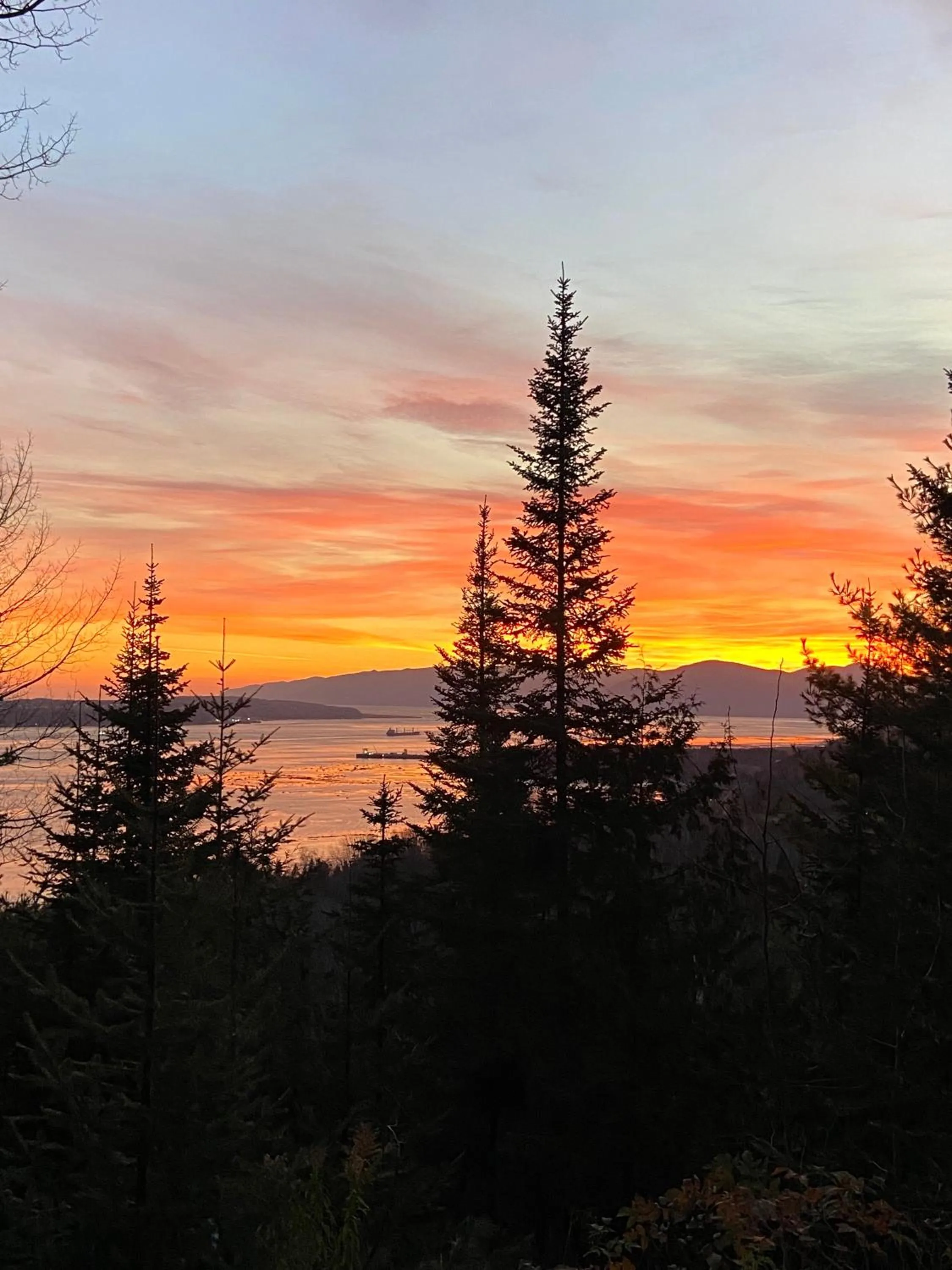 Natural landscape in Chalet Sous Les Pins
