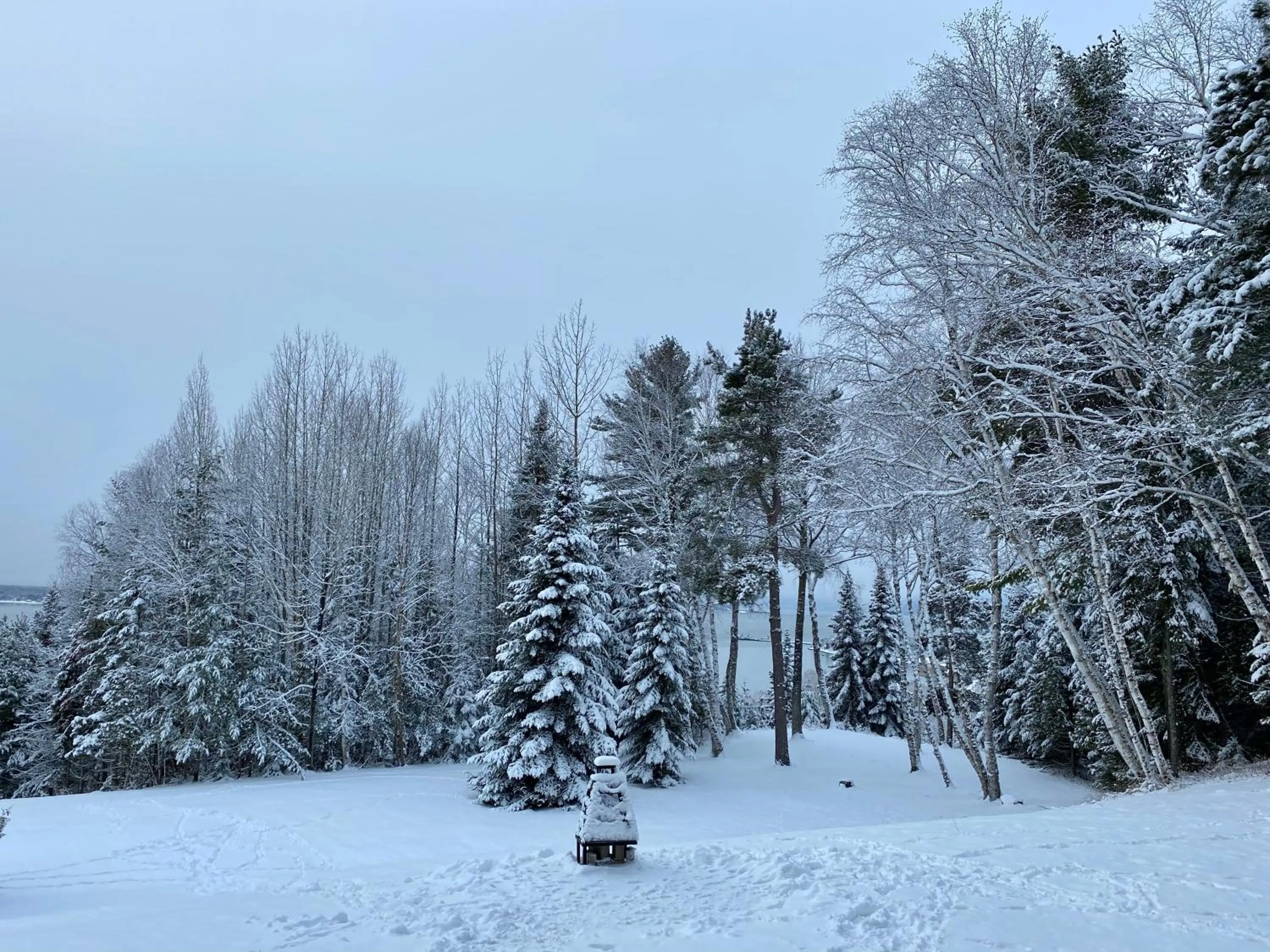 Winter in Chalet Sous Les Pins