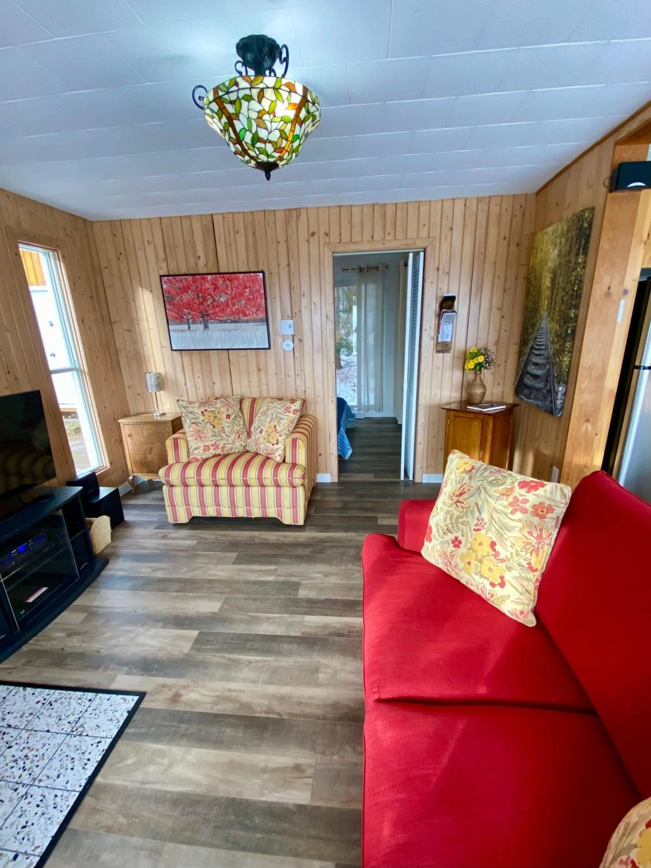 TV and multimedia in Chalet Sous Les Pins