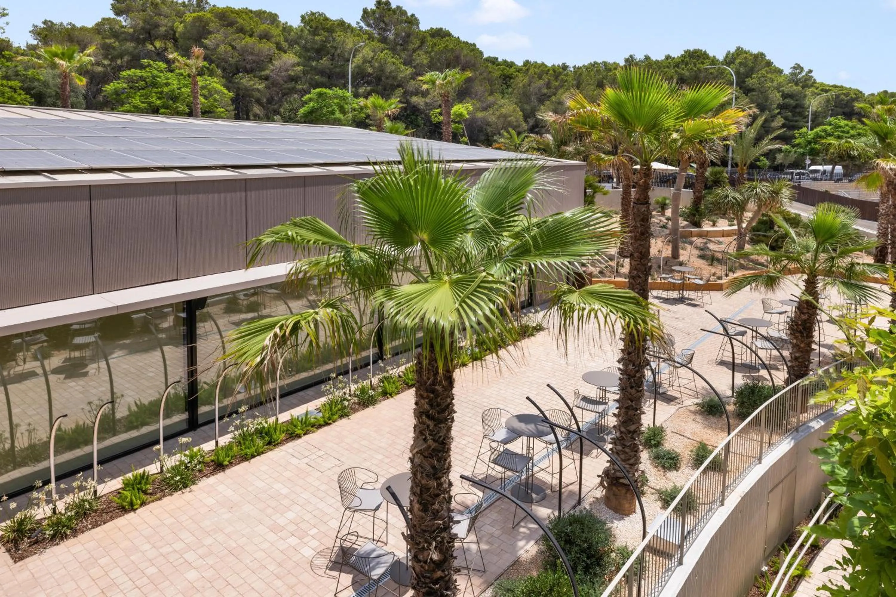 Garden in Hotel Aubamar Bali