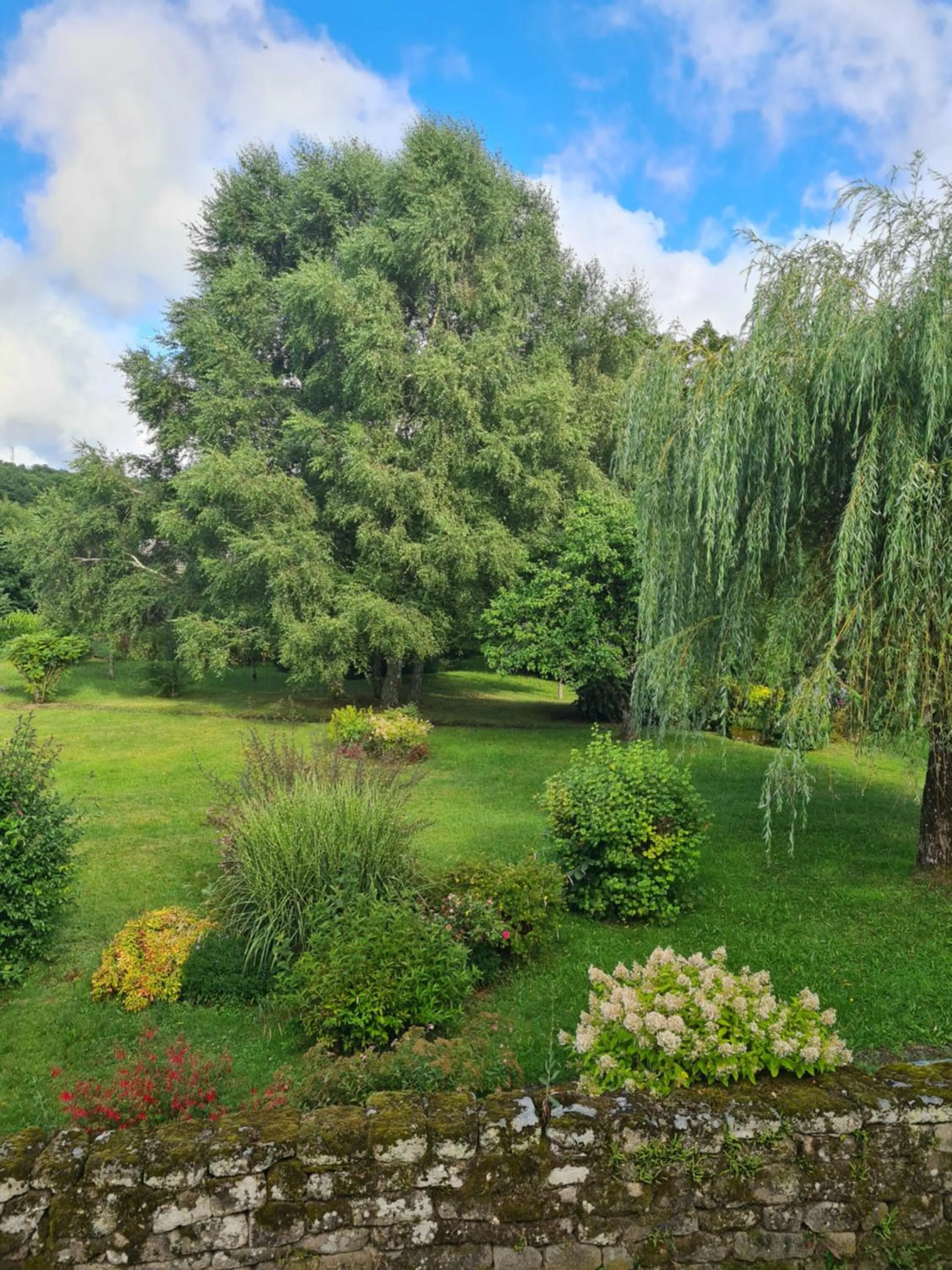 Garden in Hotel Saint julien aux bois