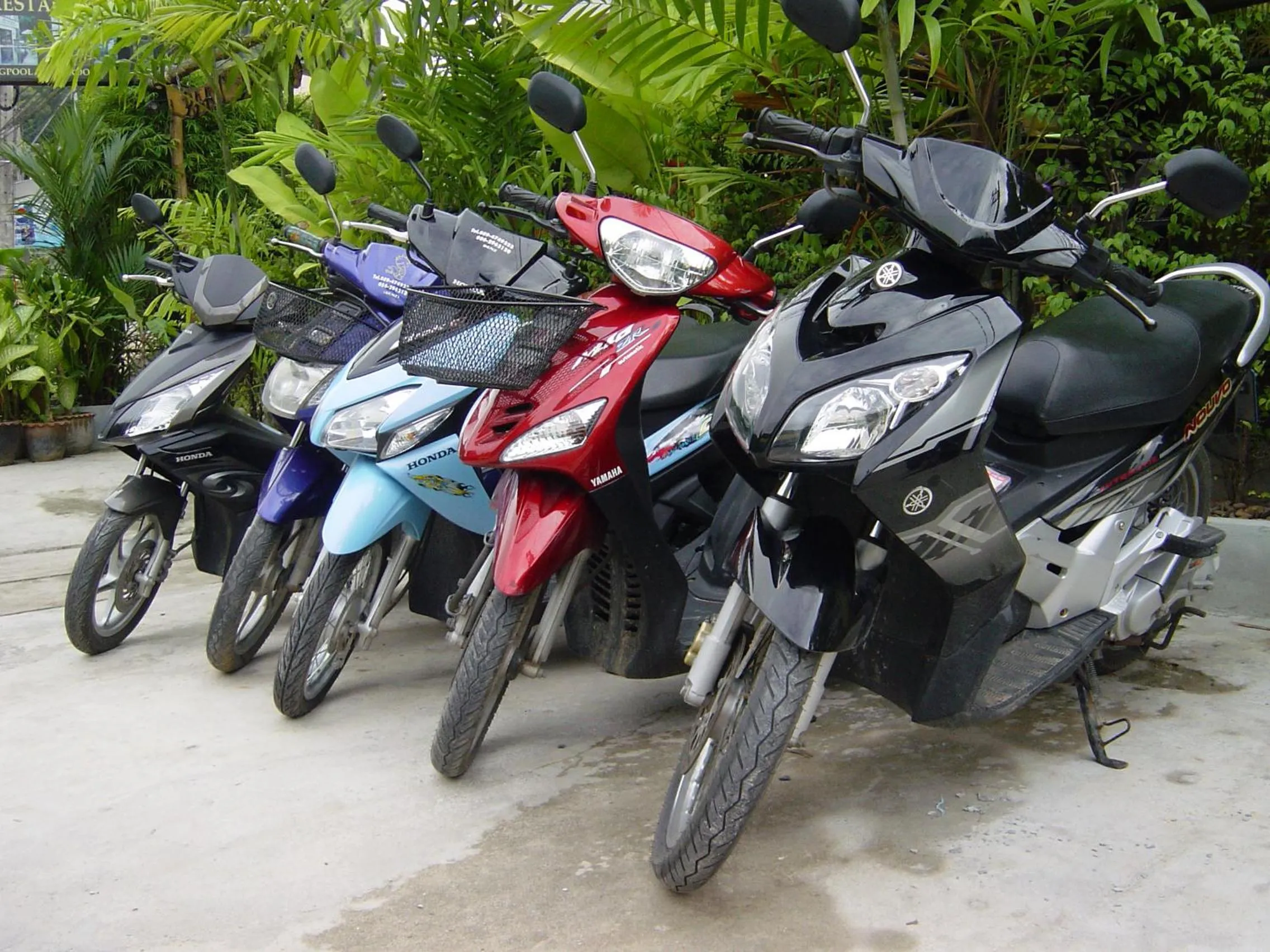 Other in Karon Pool Hotel