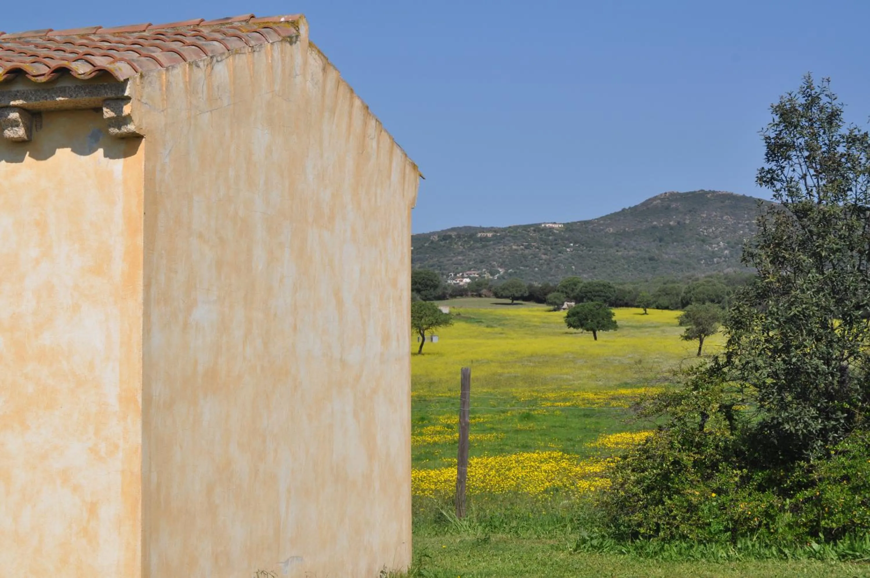 B&B Pubulos
