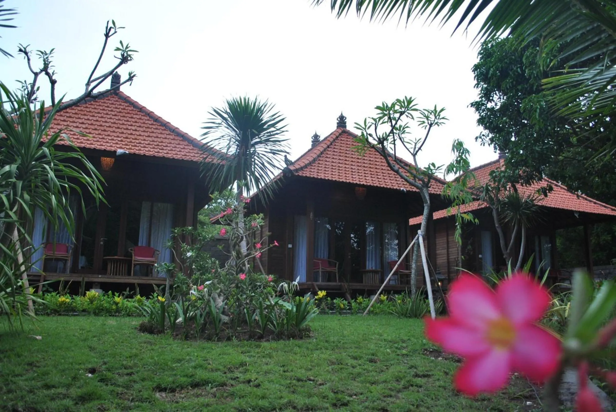 Garden in Kencana Garden