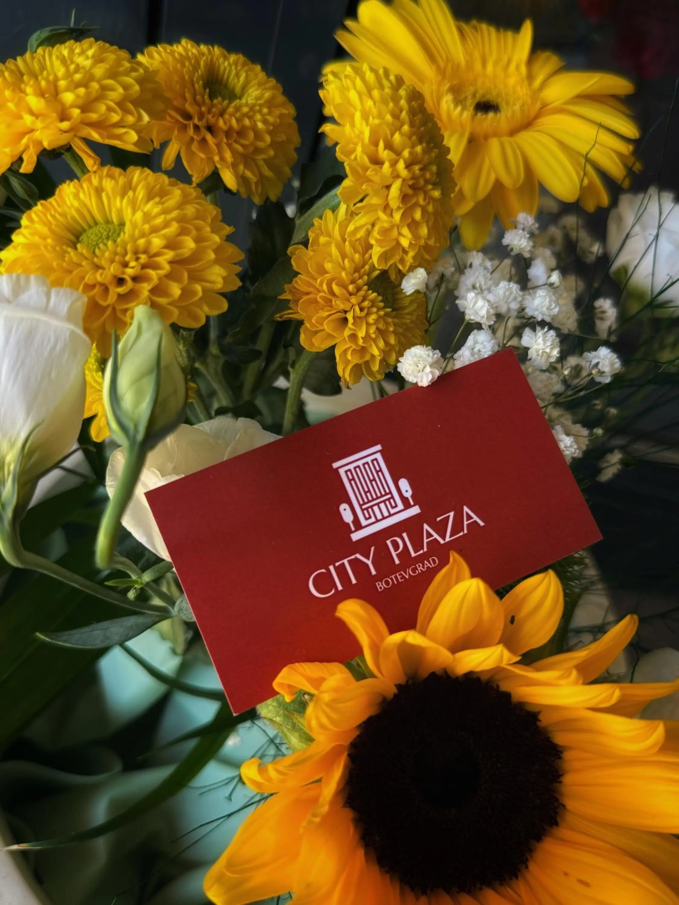 Property building in City Plaza