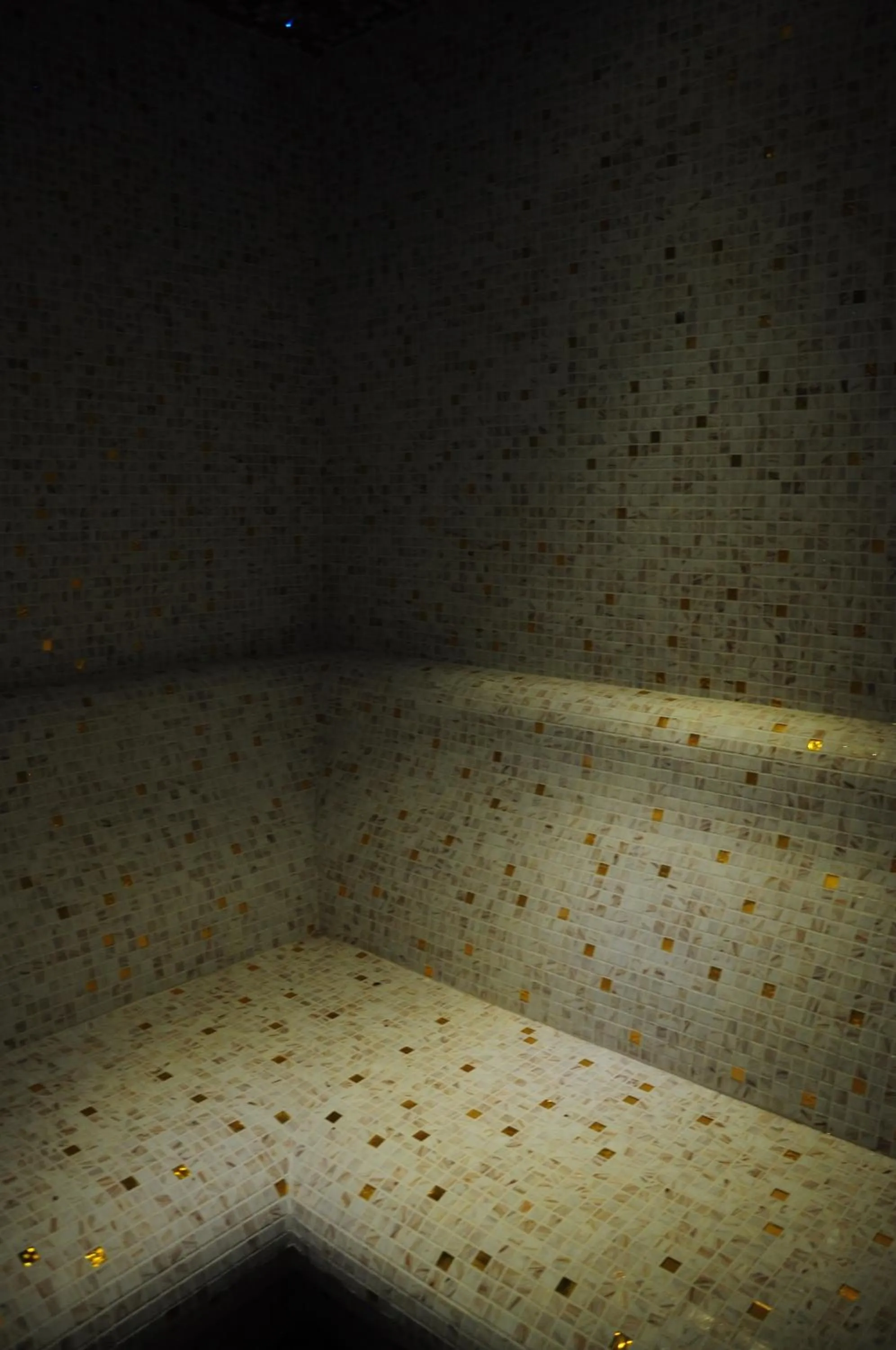 Spa and wellness centre/facilities in Hotel Konstantin