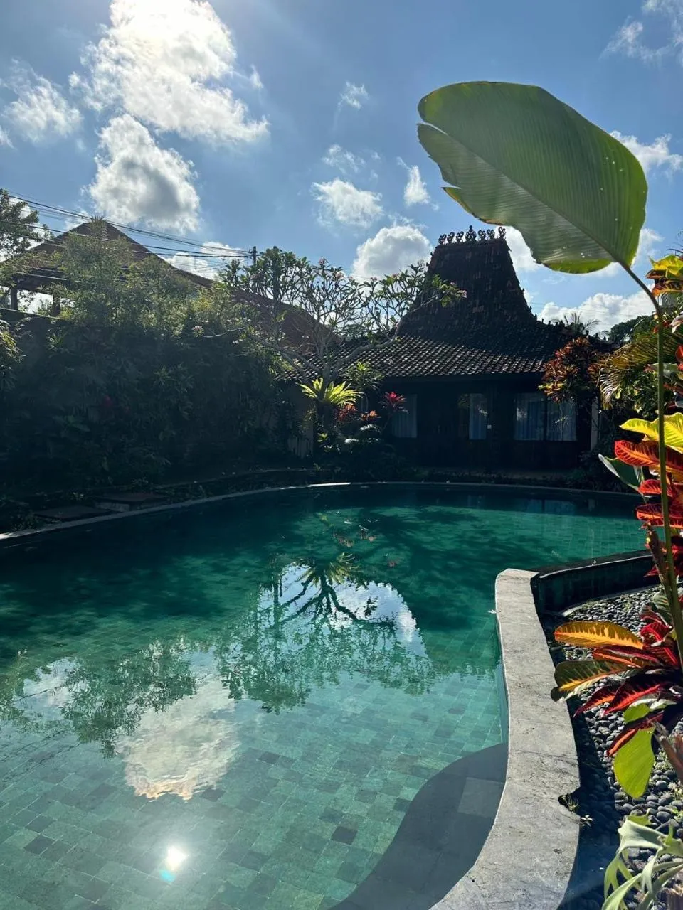Swimming pool in Kampoeng Joglo Abangan Ubud