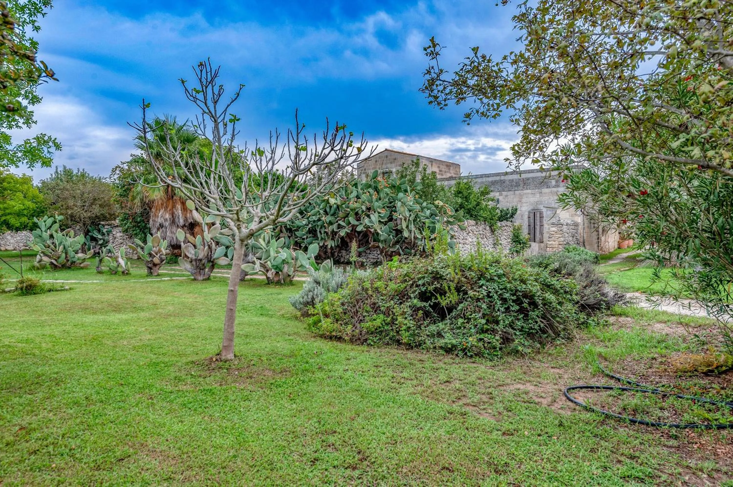 Property building in Masseria Copertini