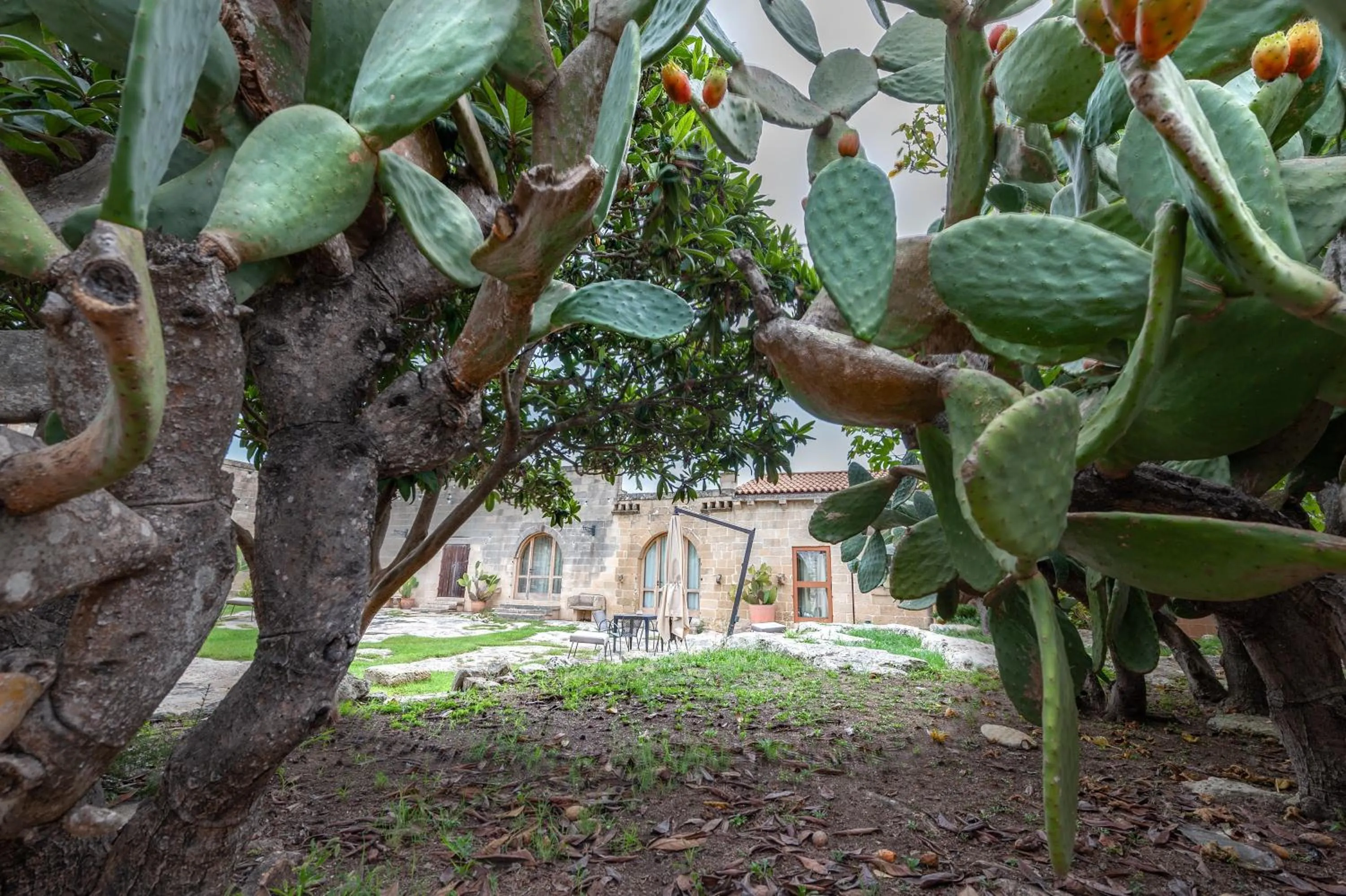 Property building in Masseria Copertini