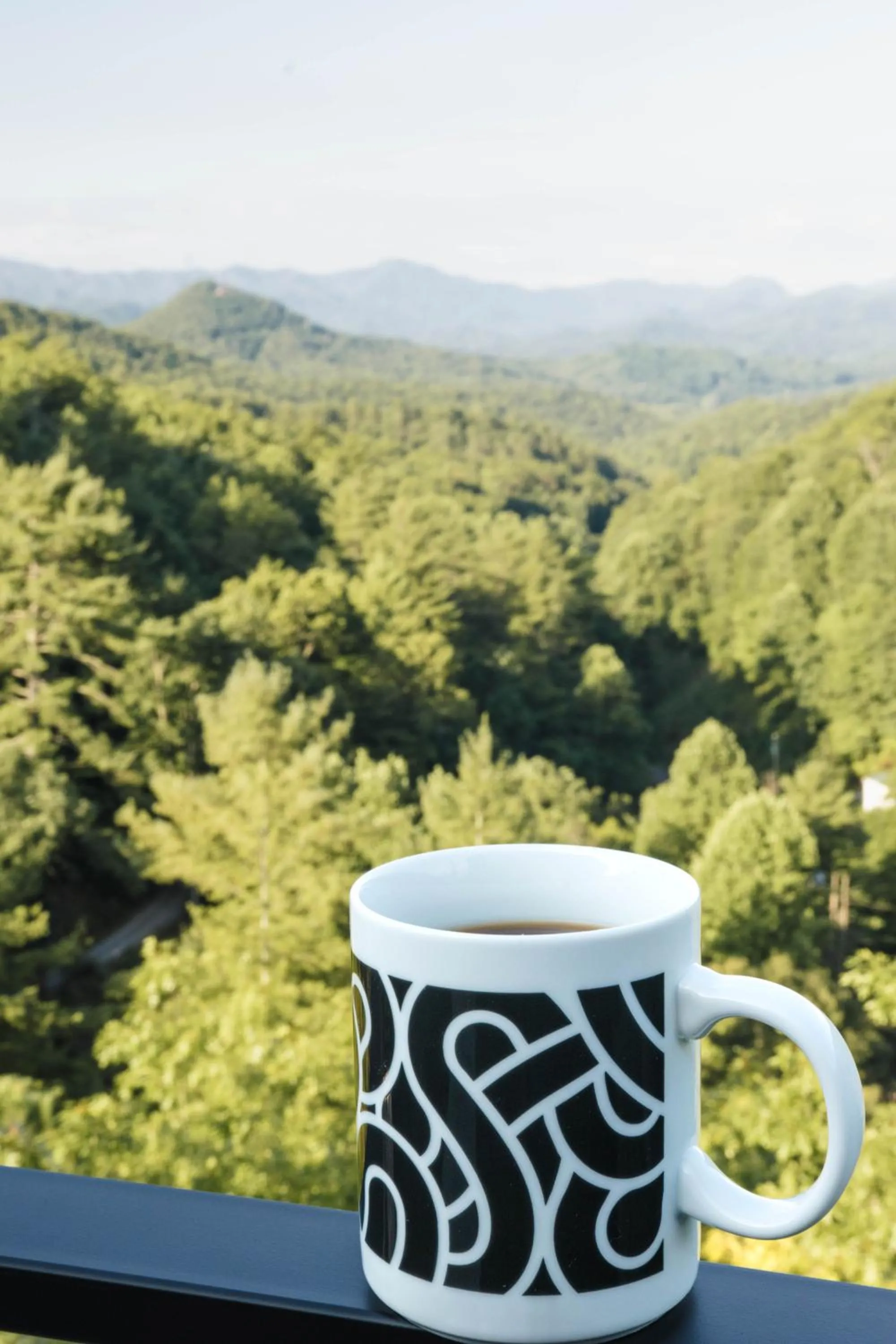 Long View Resort Bryson City, NC