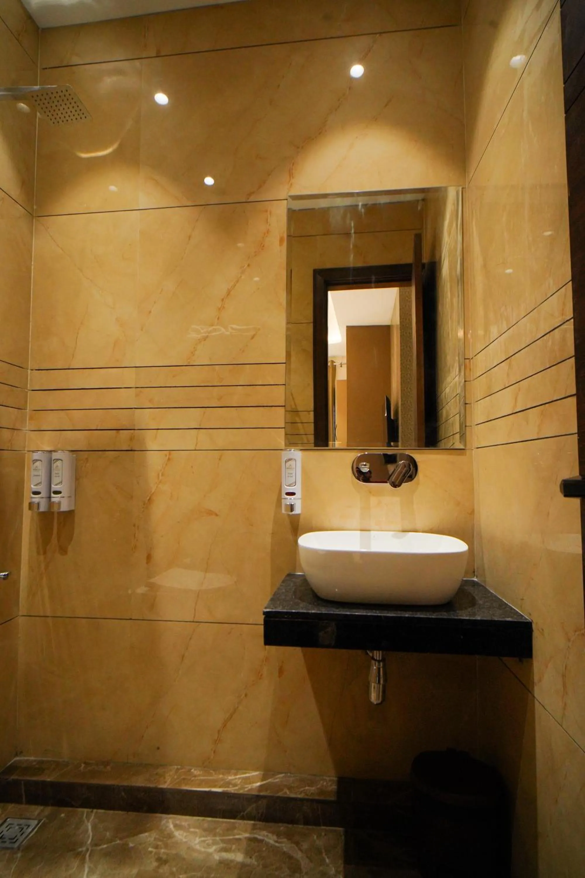 Hotel Ammison Inn & Suites