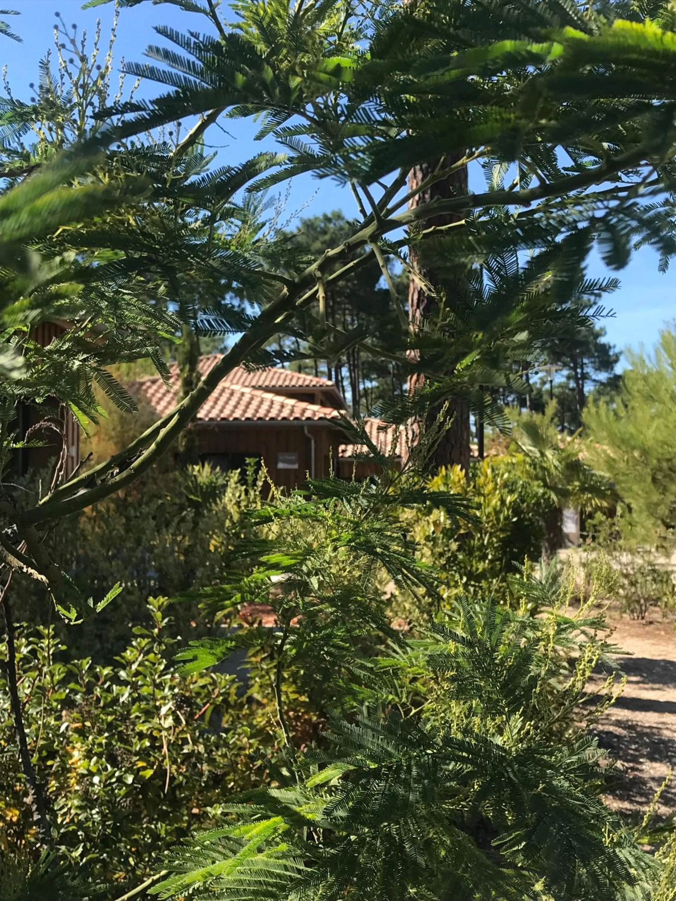 Other in Domaine du Ferret Restaurant & Spa