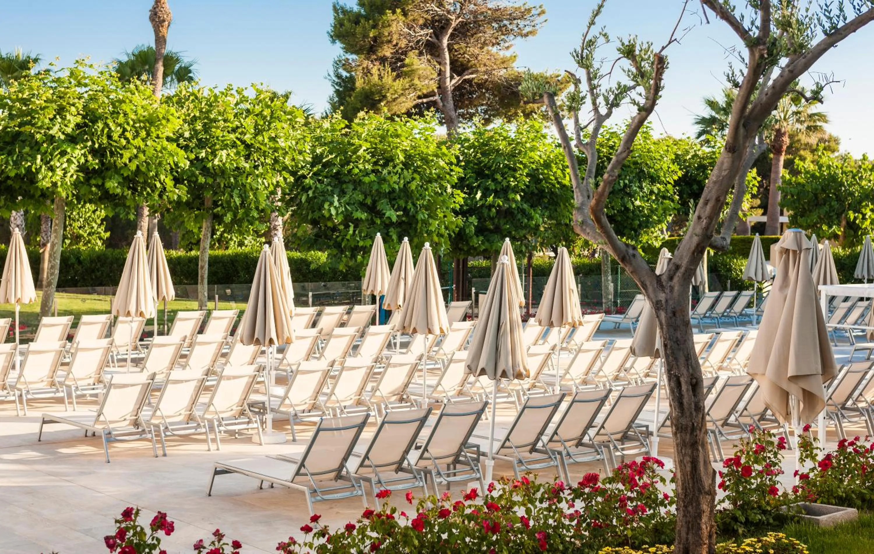 Balcony/Terrace in Globales Mediterrani