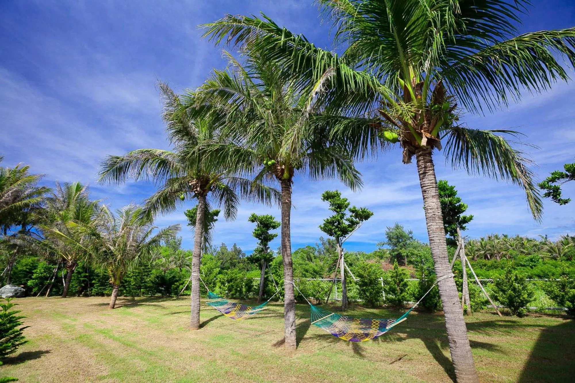 Property building in Otousann B&B