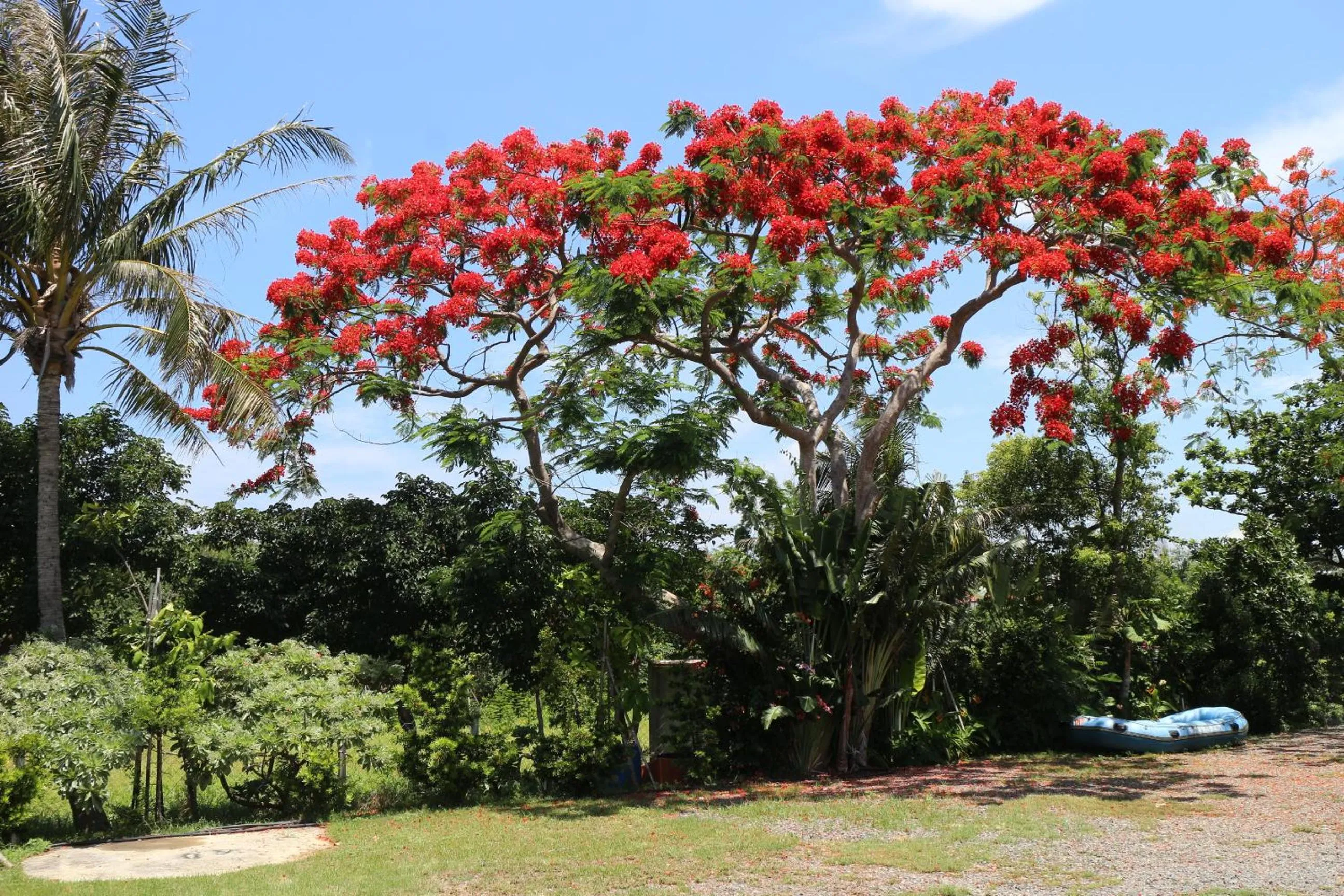 Garden view in Otousann B&B