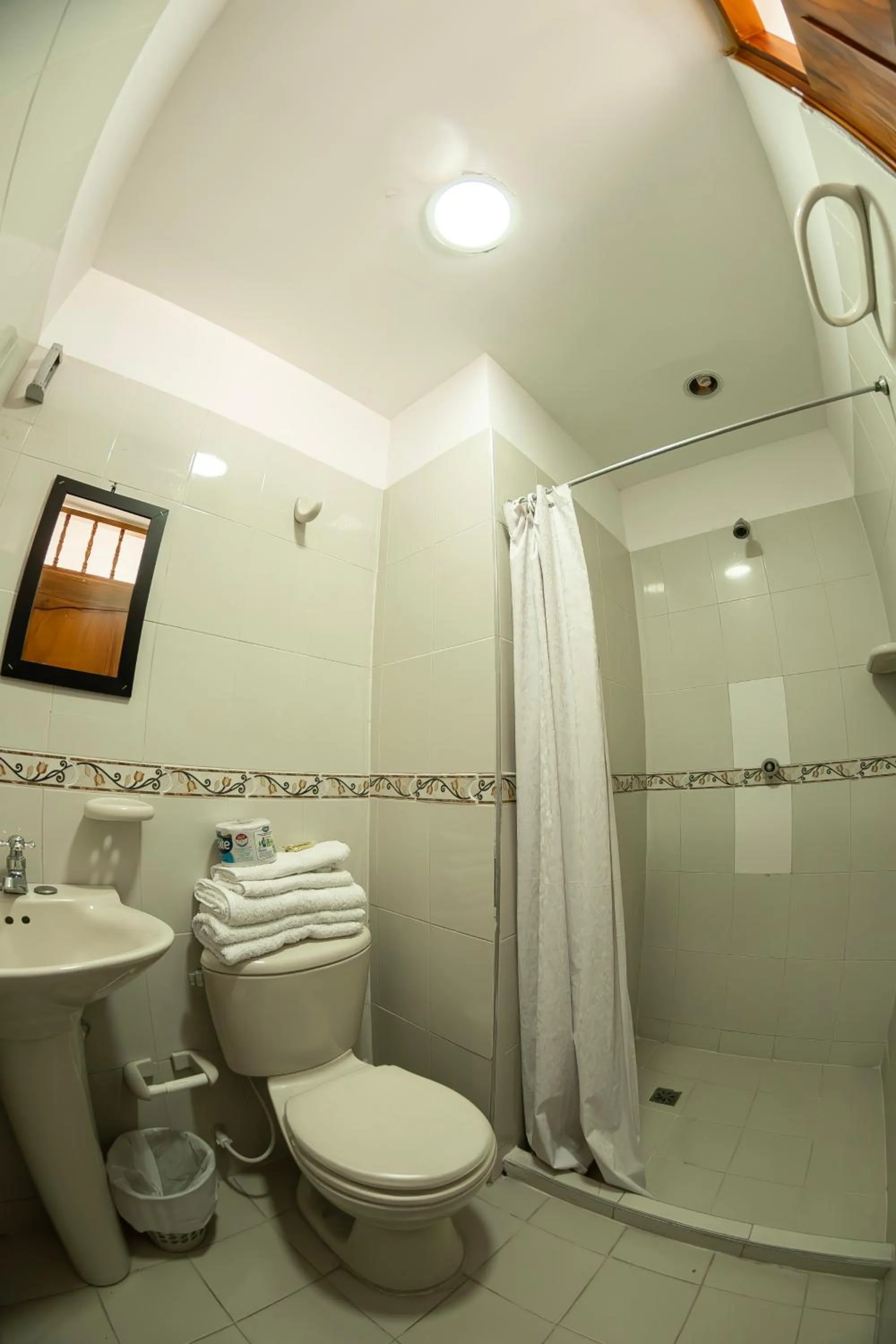 Shower in Hotel Santander Plaza