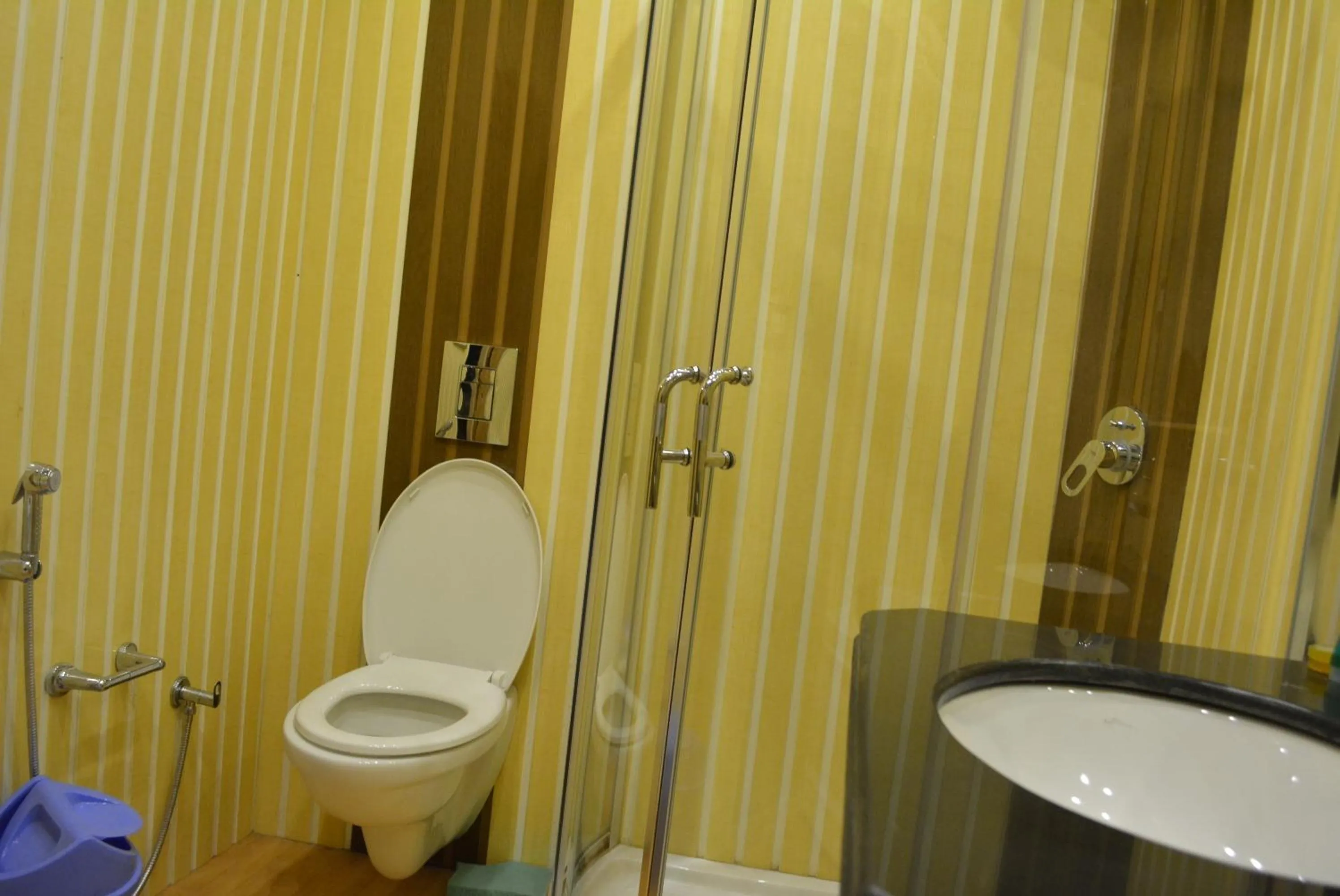 Toilet in New York Houseboat