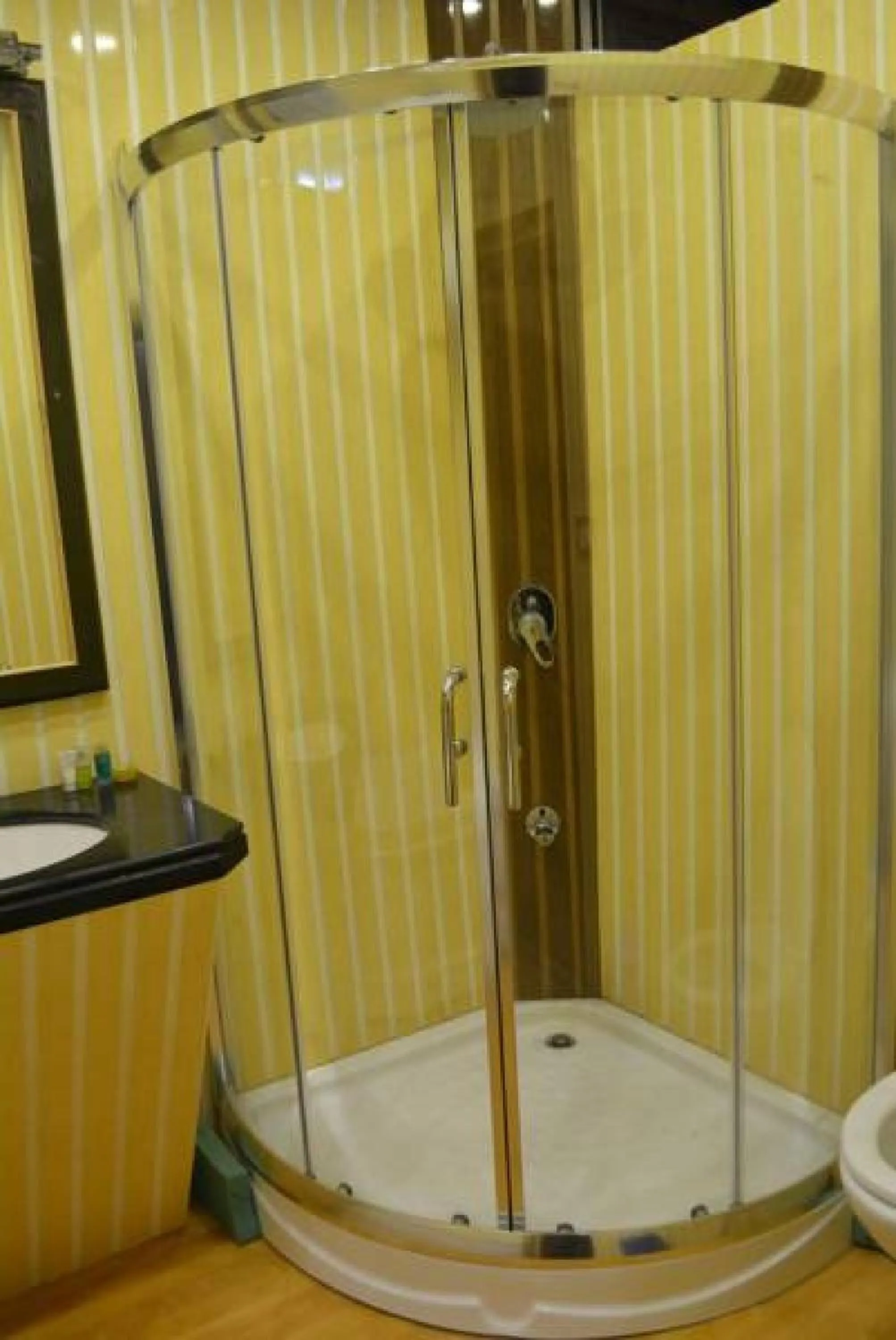 Shower in New York Houseboat