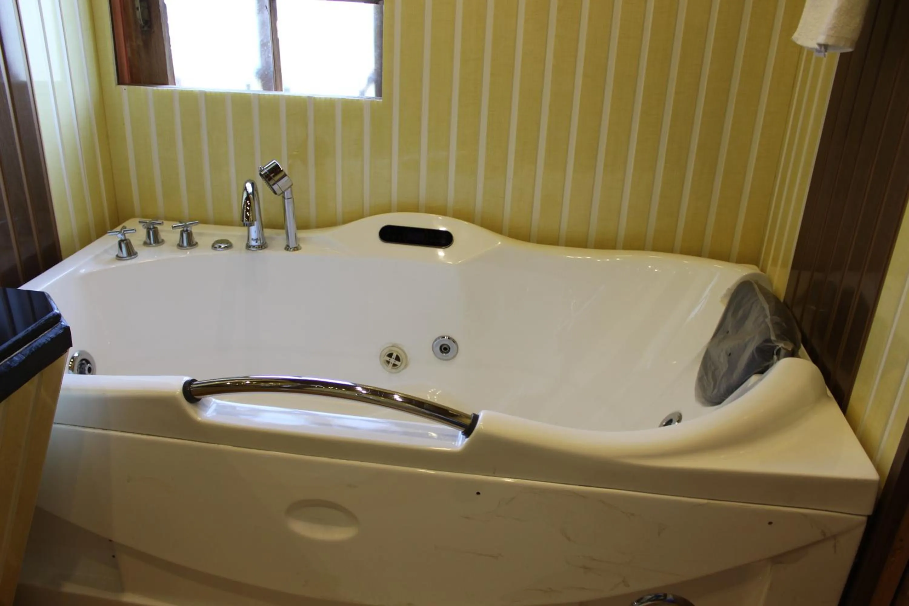 Bath in New York Houseboat