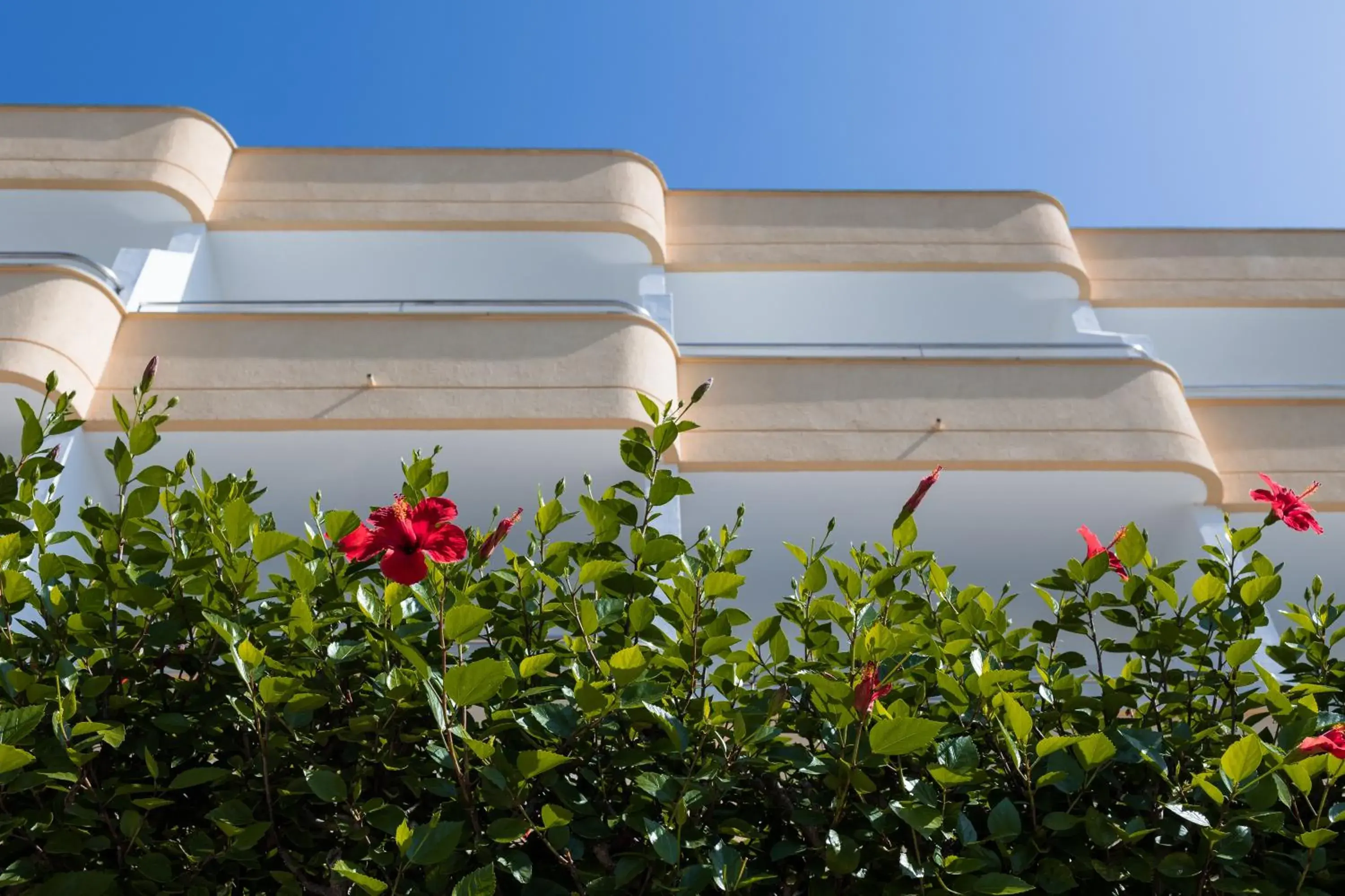 Property building in Sagitario Playa Property building in Sagitario Playa