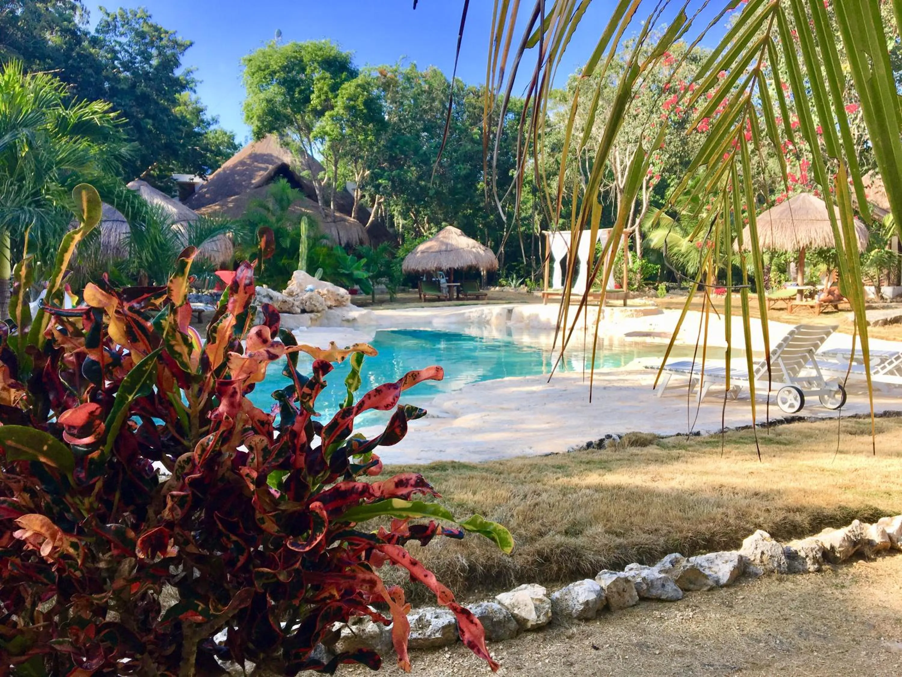 Swimming pool in Villa Morena Boutique Hotel Ecoliving