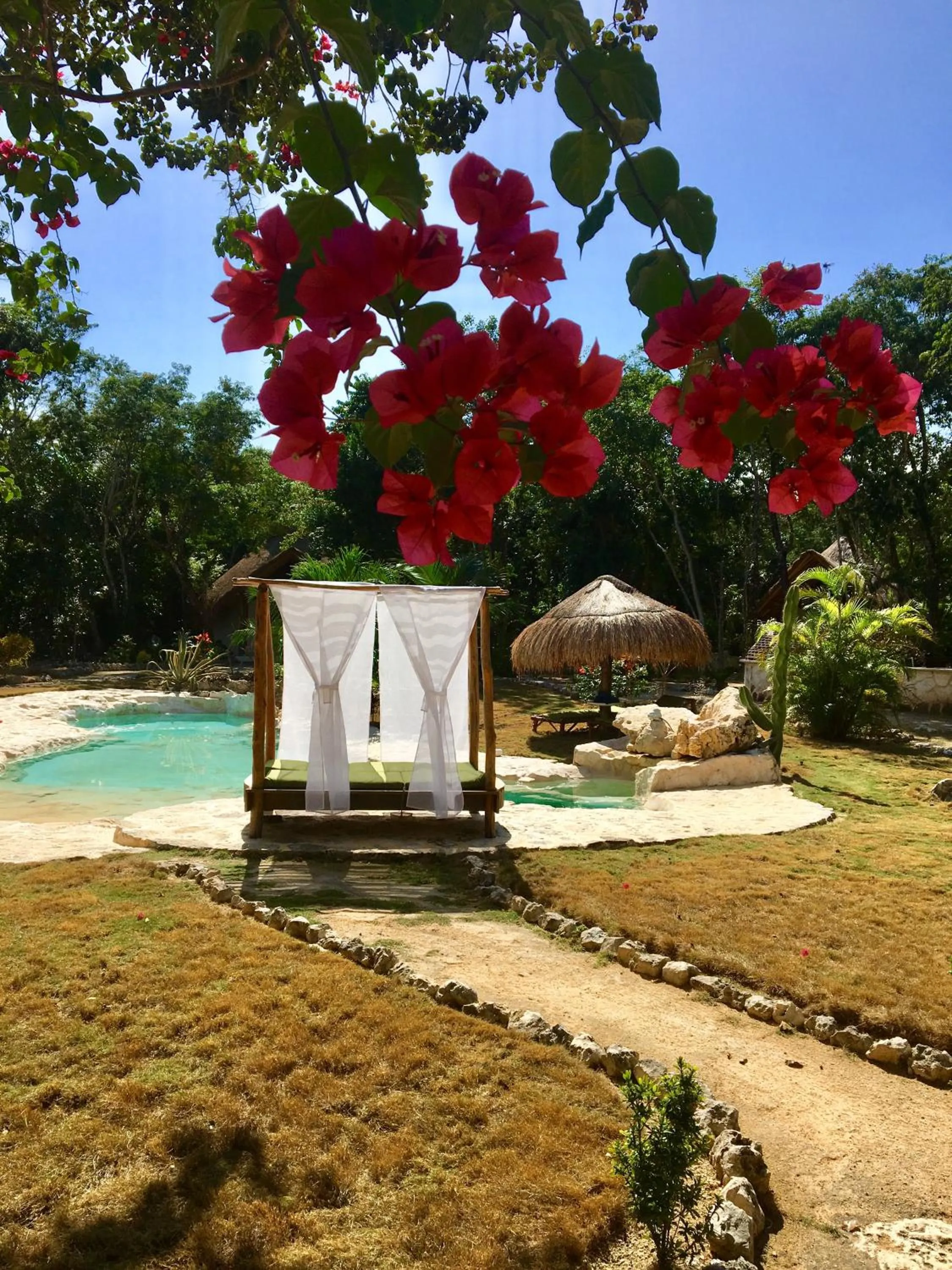 Garden in Villa Morena Boutique Hotel Ecoliving