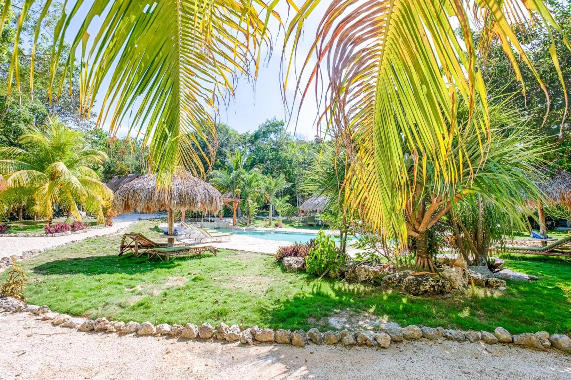 Garden in Villa Morena Boutique Hotel Ecoliving