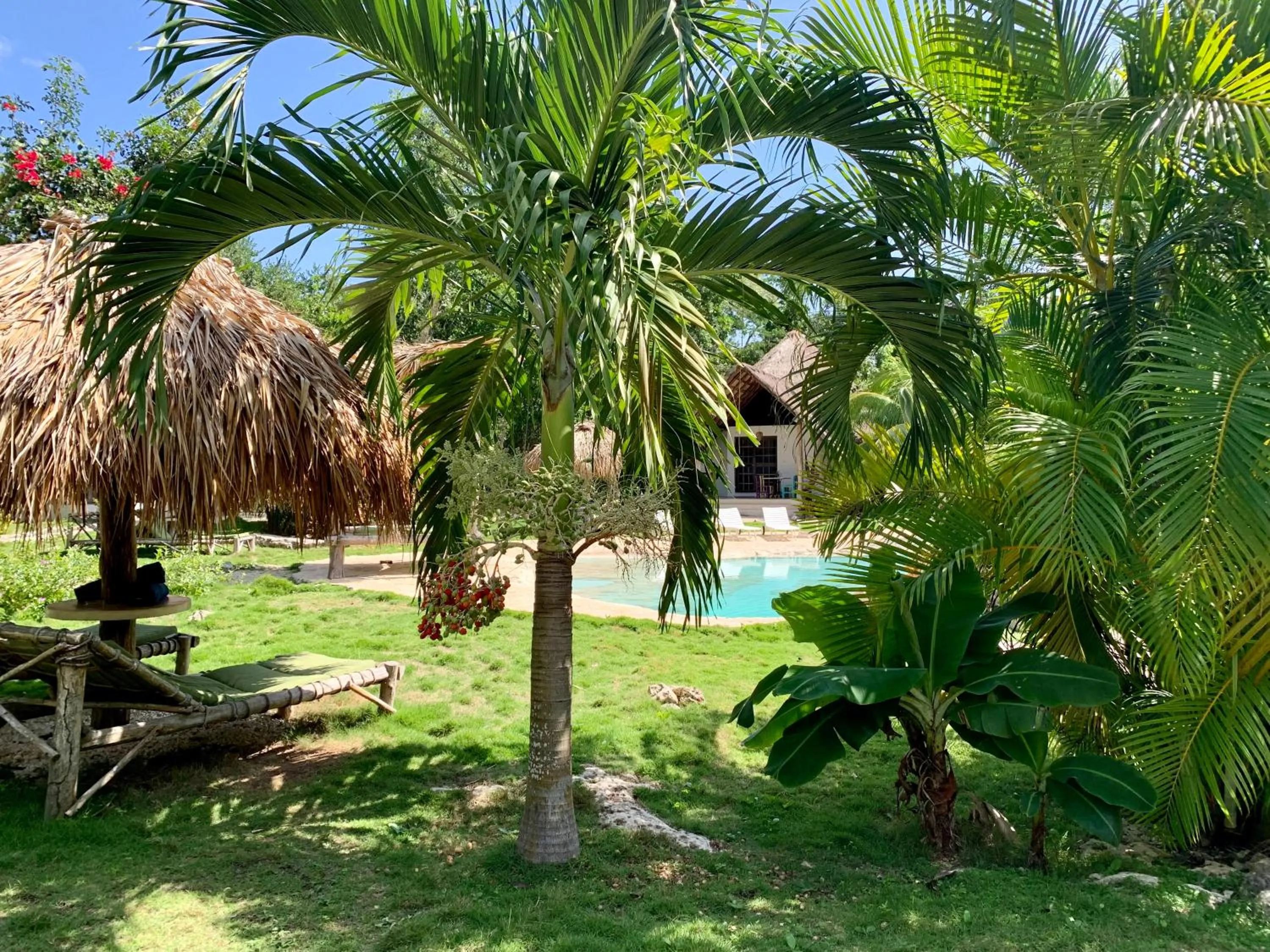 Garden in Villa Morena Boutique Hotel Ecoliving