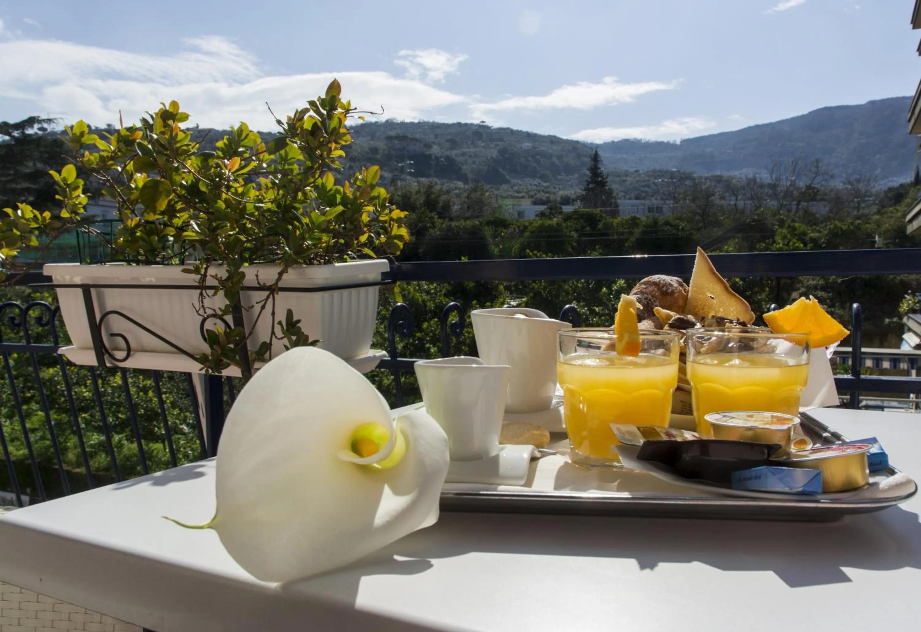 Balcony/Terrace in Bougainvillea Relais